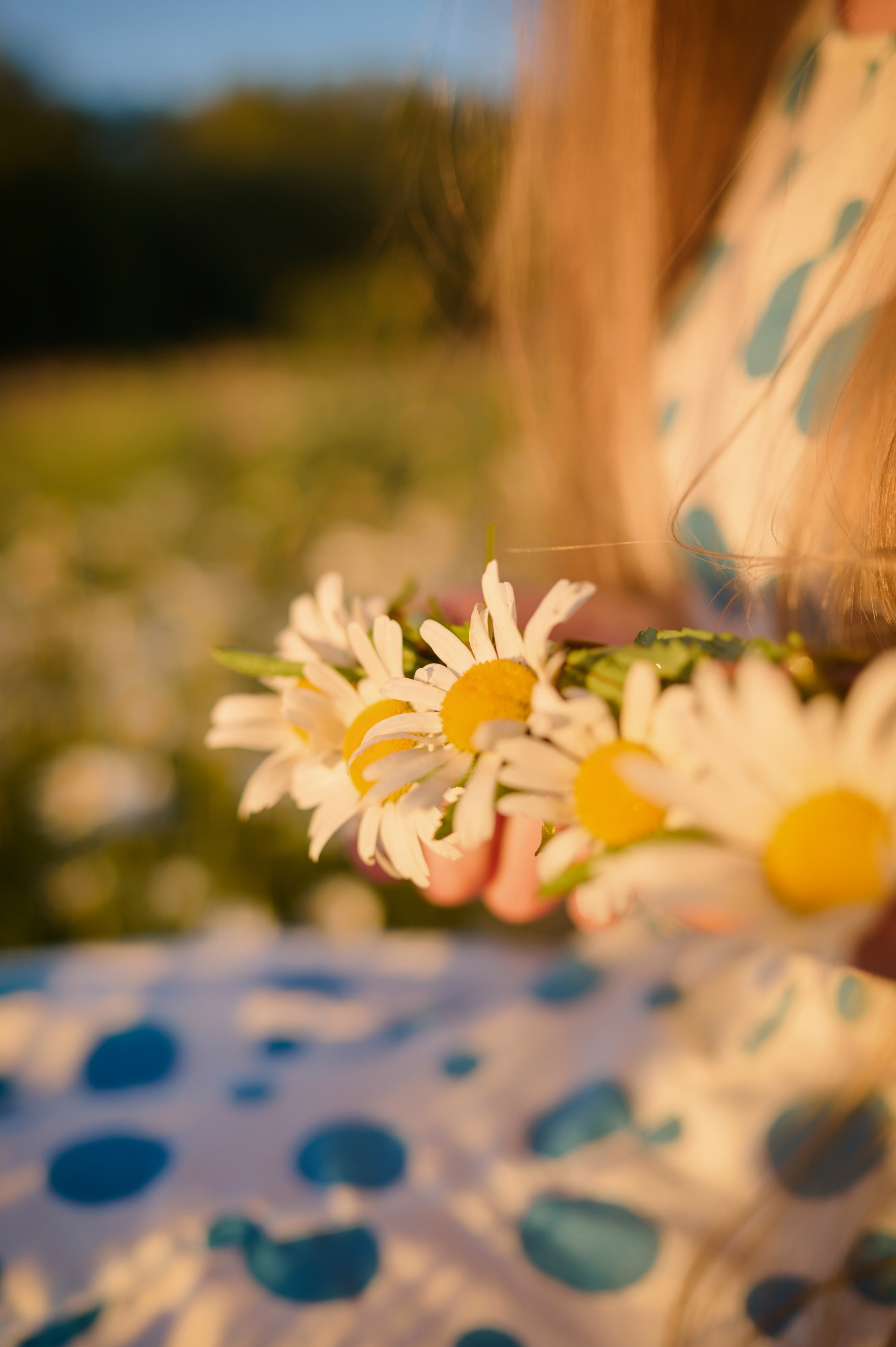 Екатерина. На заре. Фотограф анималист в Казани Алина Сулейманова. Фотограф животных
