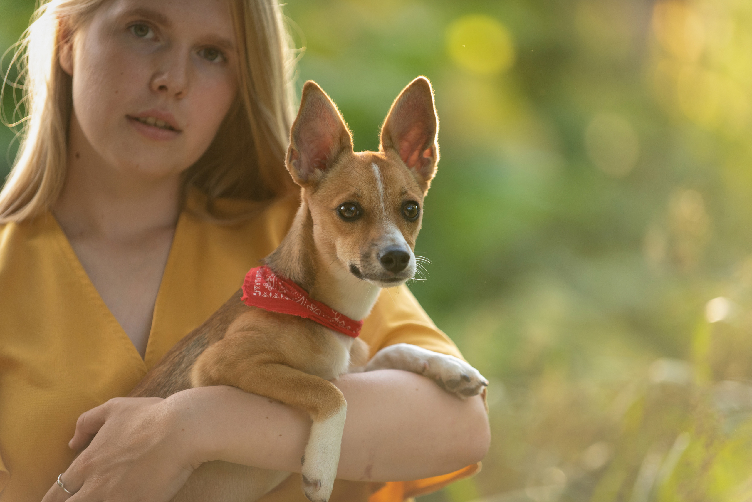 Настя. У ручья. Фотограф анималист в Казани Алина Сулейманова. Фотограф животных
