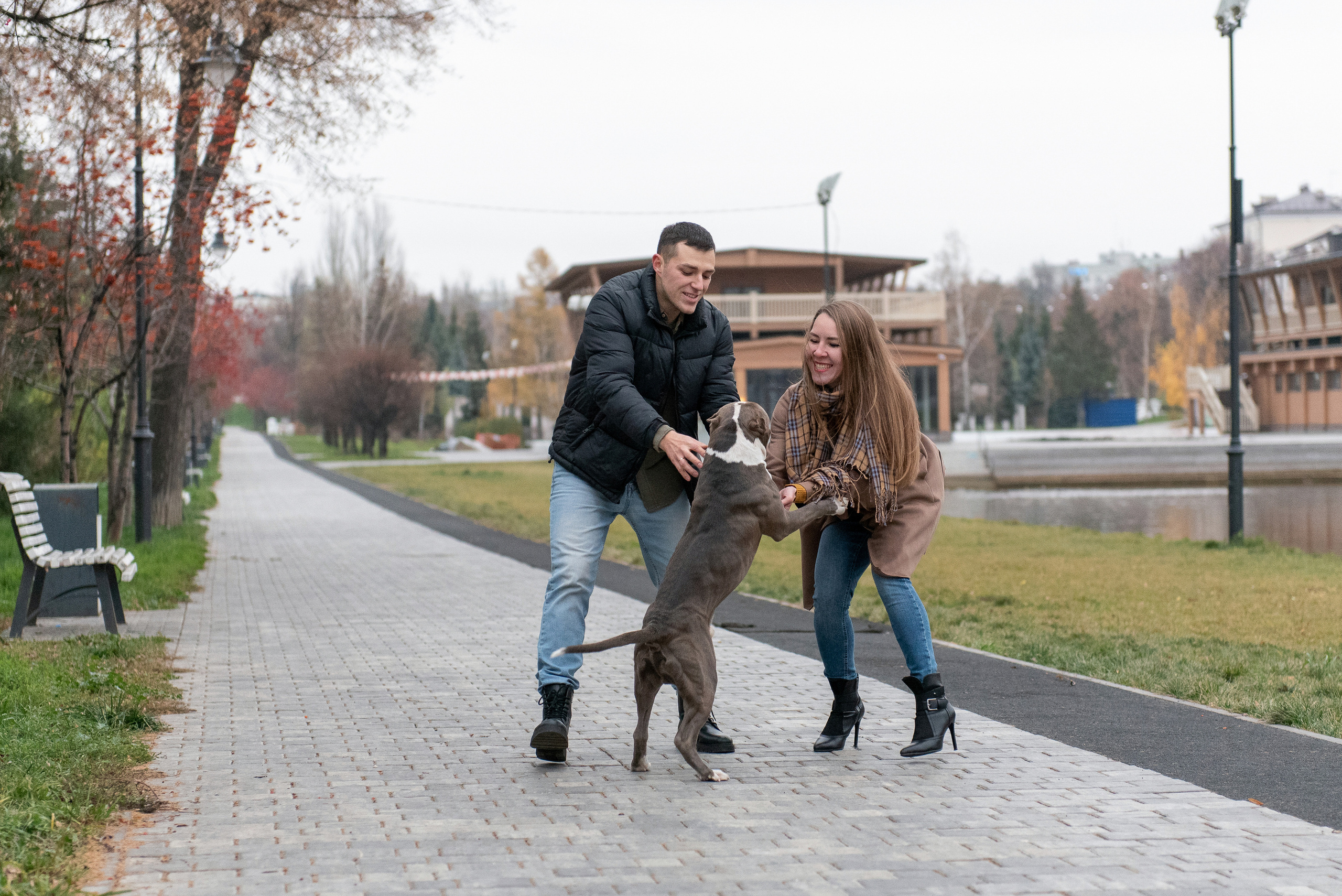 Ирина, Марат и Ричи. Фотограф анималист в Казани Алина Сулейманова. Фотограф животных