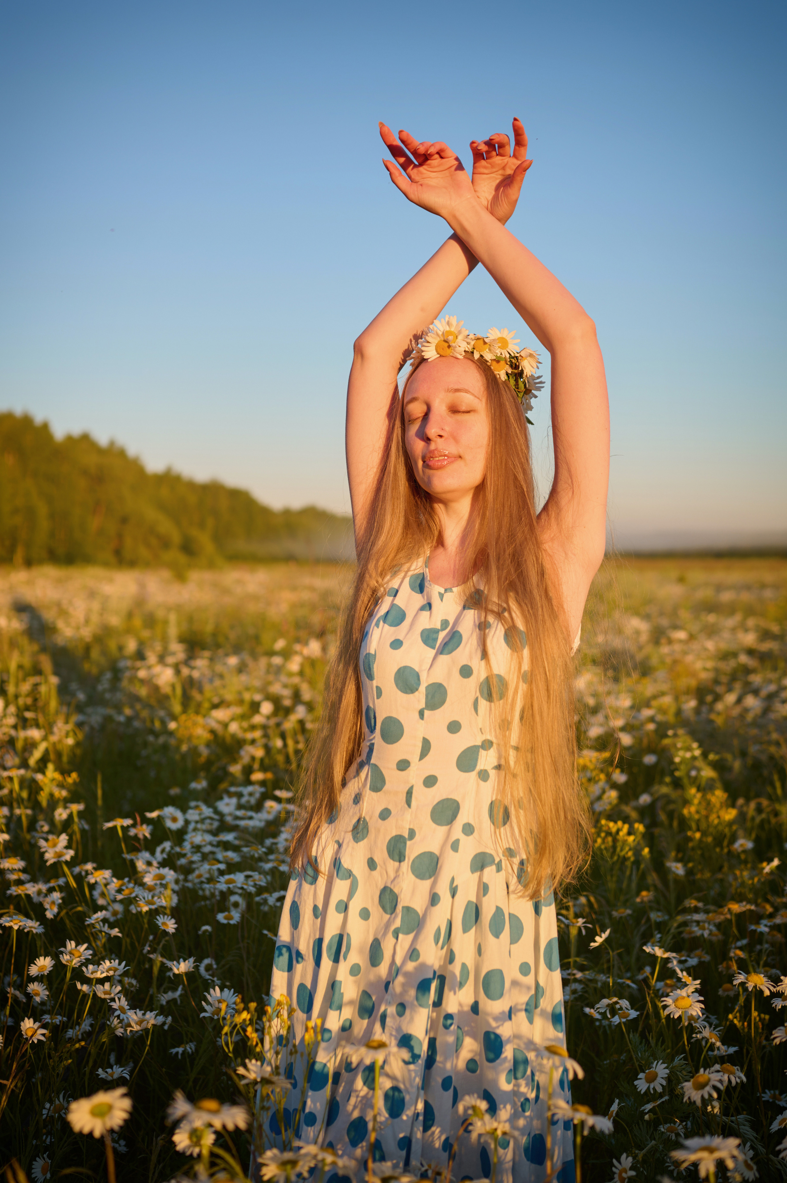 Екатерина. На заре. Фотограф анималист в Казани Алина Сулейманова. Фотограф животных