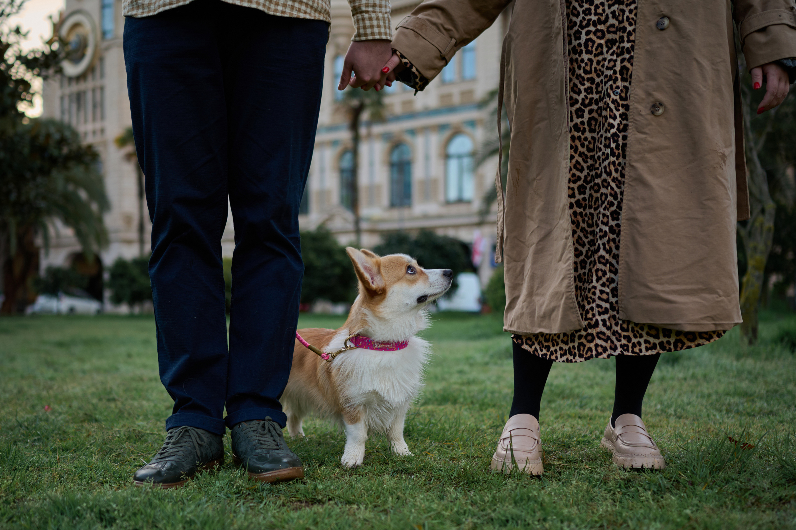 Катя, Данил и Деби. Фотограф анималист в Казани Алина Сулейманова. Фотограф животных