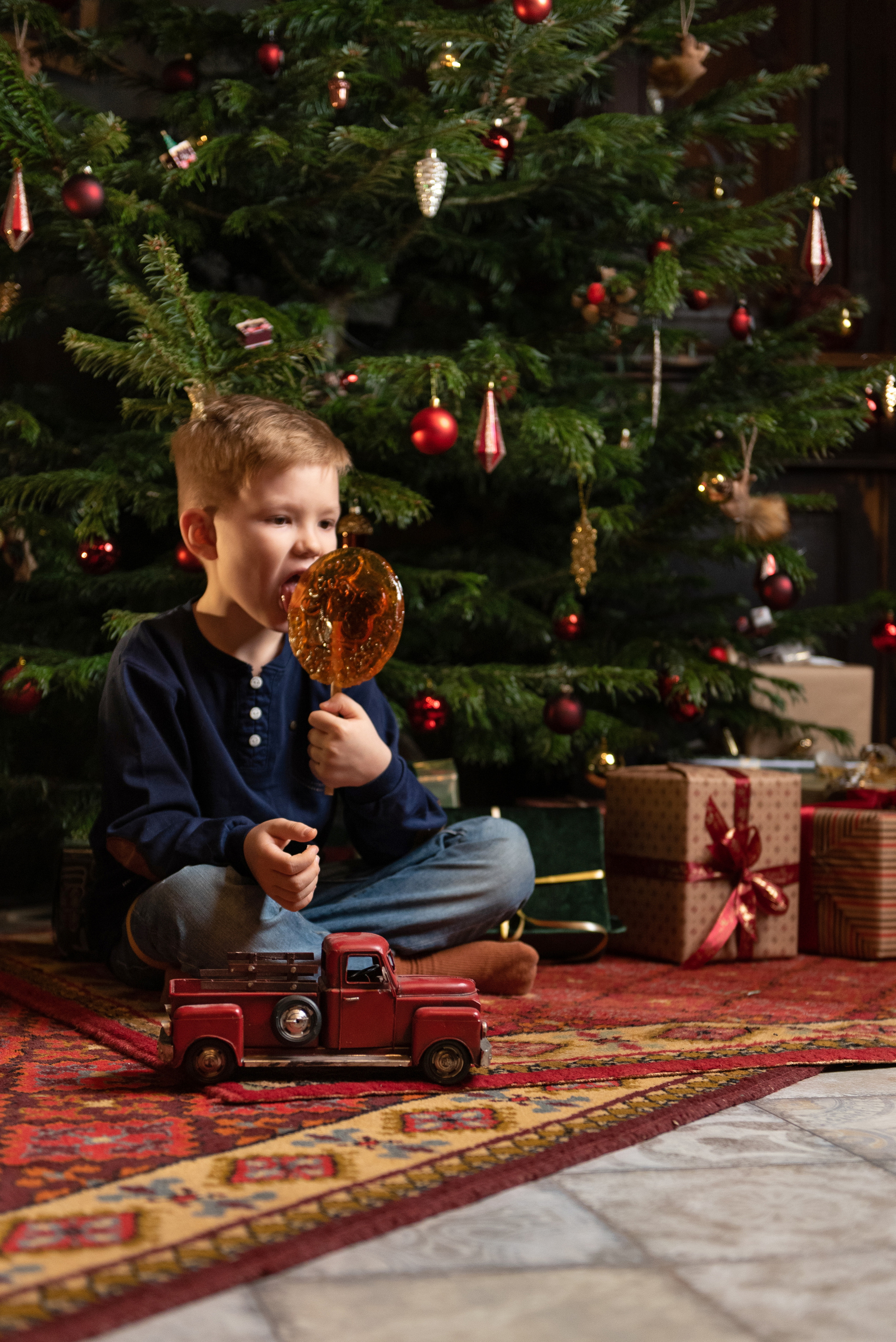 Света, Ратмир и Фунтик. Фотограф анималист в Казани Алина Сулейманова. Фотограф животных