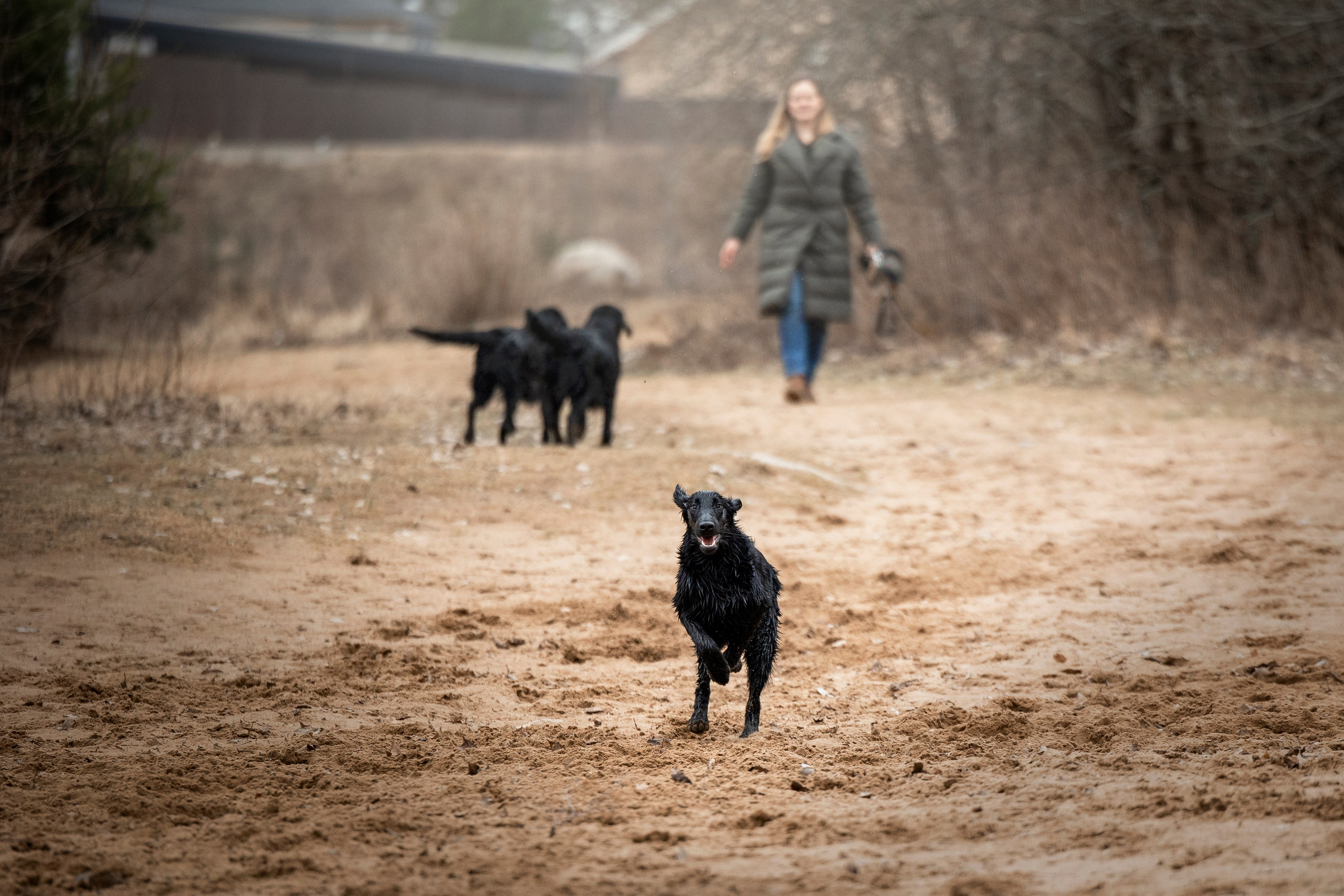 Ора, Ева, Рози и их семья. Фотограф — Анималист | Санкт-Петербург