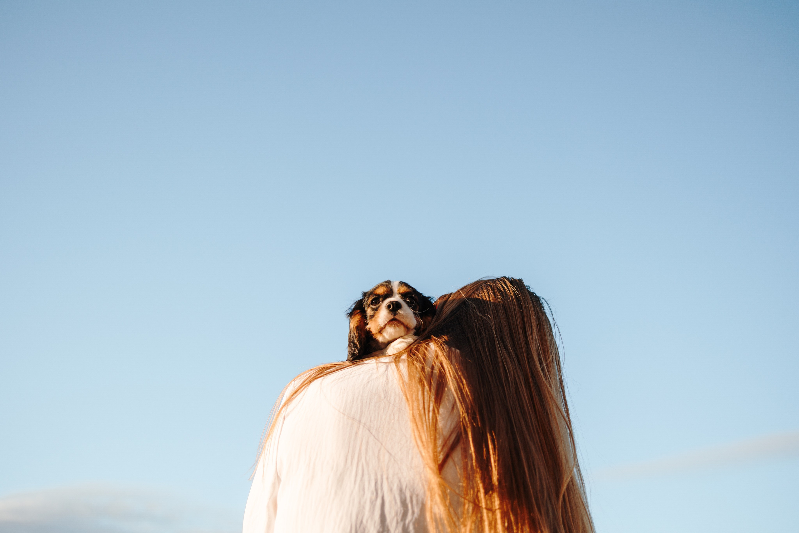 Аня, Стеша и Степан. Фотограф — Анималист | Санкт-Петербург