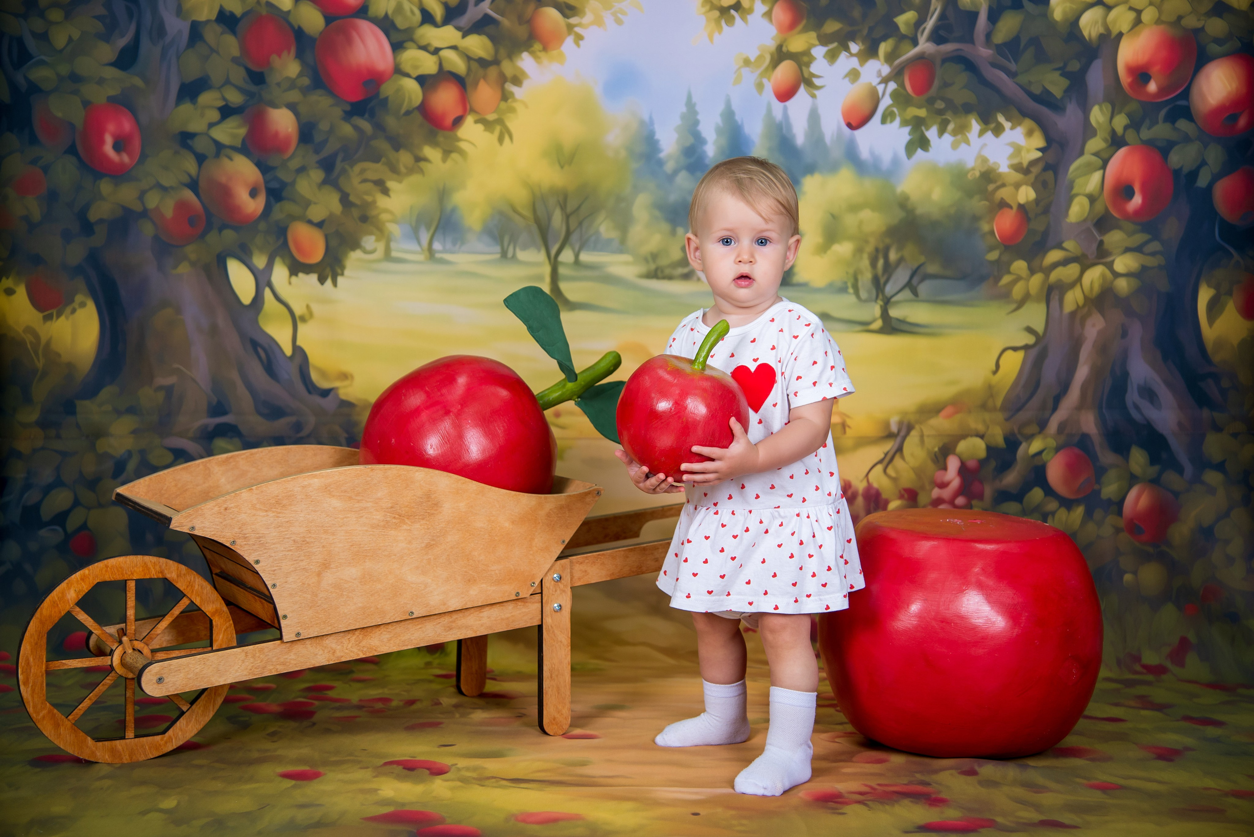 Яблоневый сад. Выпускные альбомы Ярославль