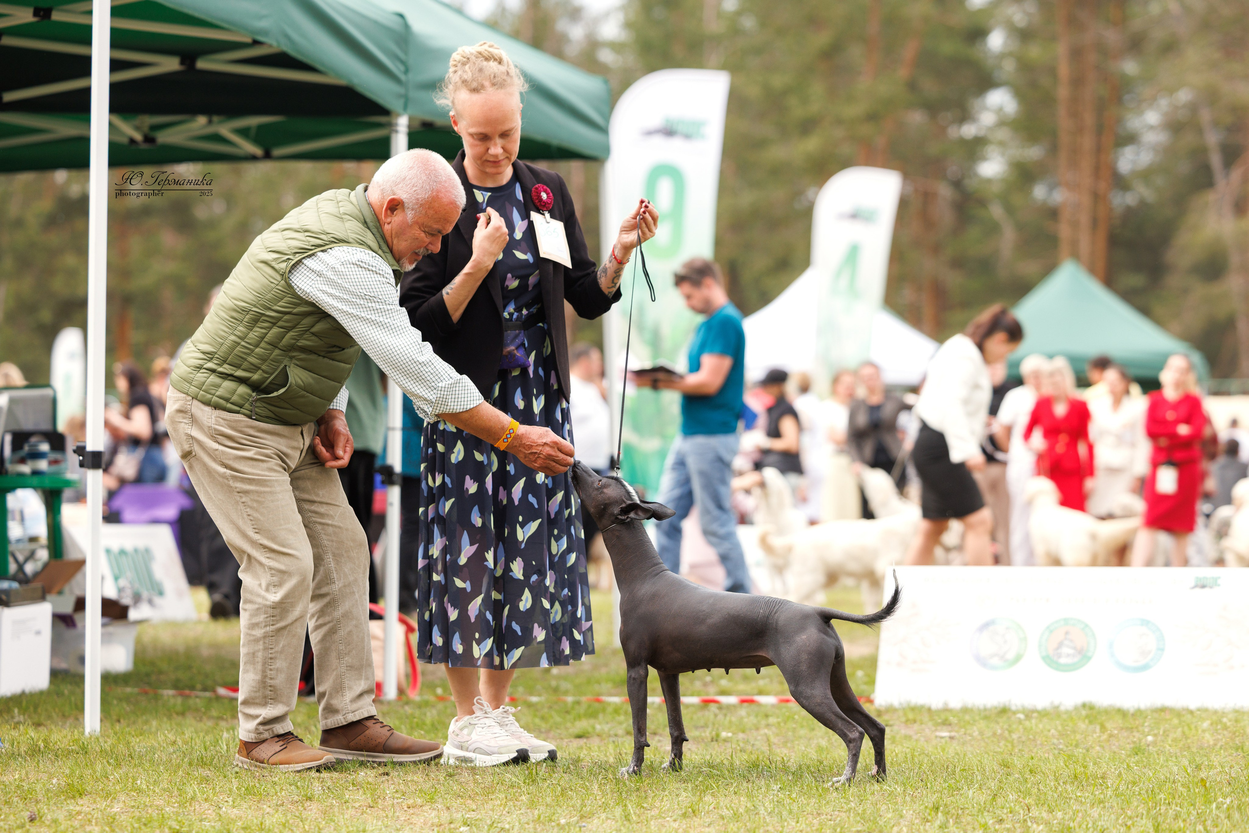 Суздаль(Владимир)17-18.05.2025. Фотограф-анималист Юлия Германика