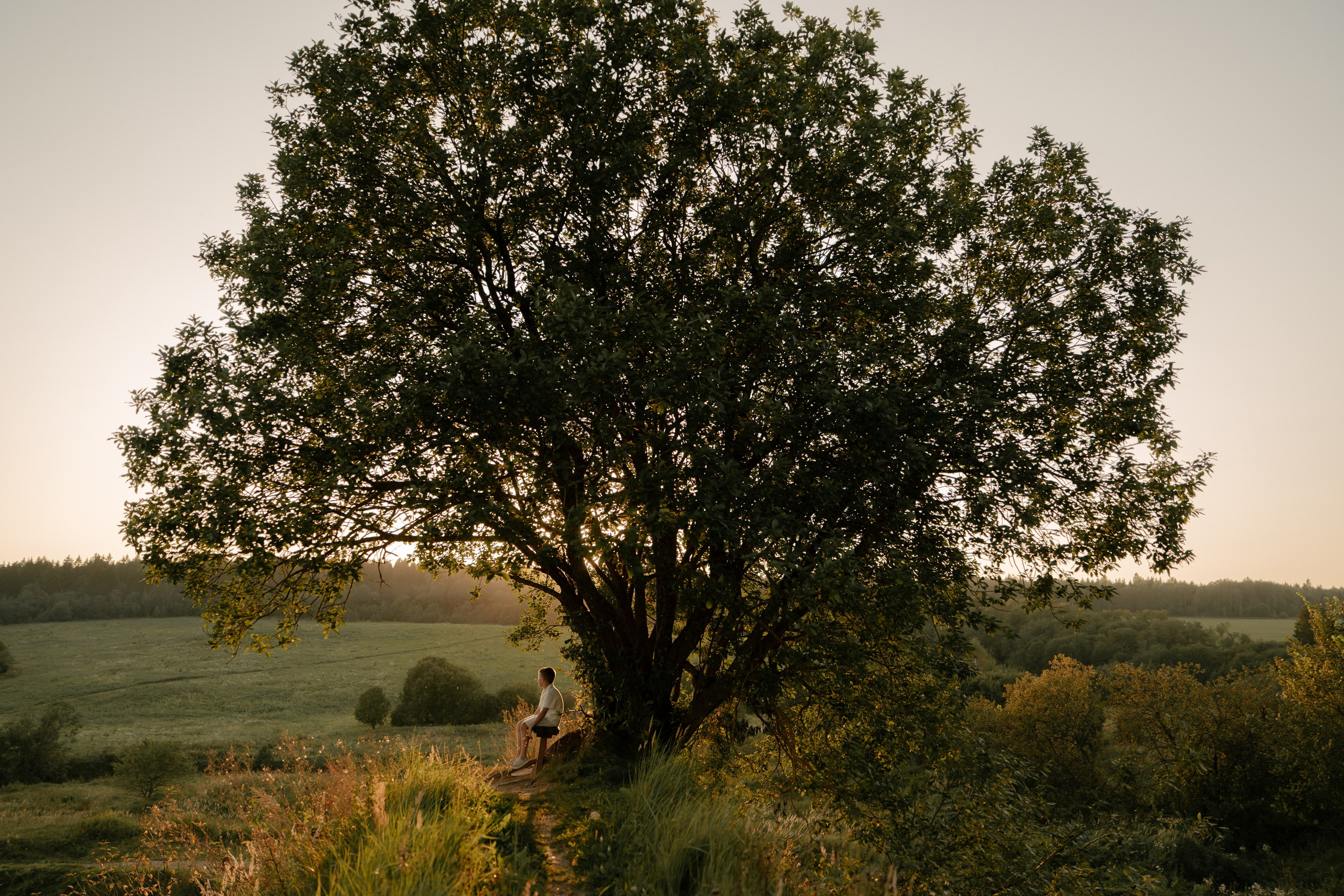 Аня, Агата, Юра и Саша. Свадебный и семейный фотограф в Москве и Красногорске — живые кадры | Анастасия Тихонова