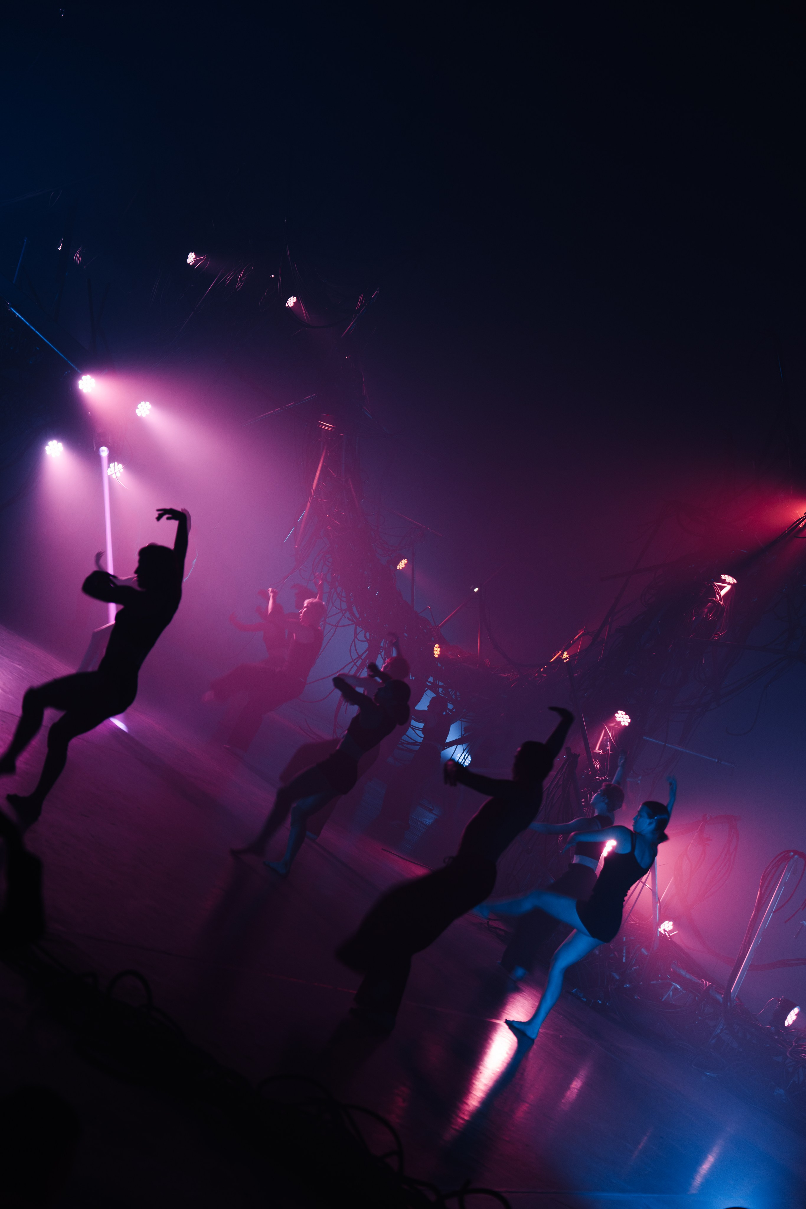 PERFORMA, The Hour of the Horse. @tomrus: Рустам Шагиморданов — фотограф