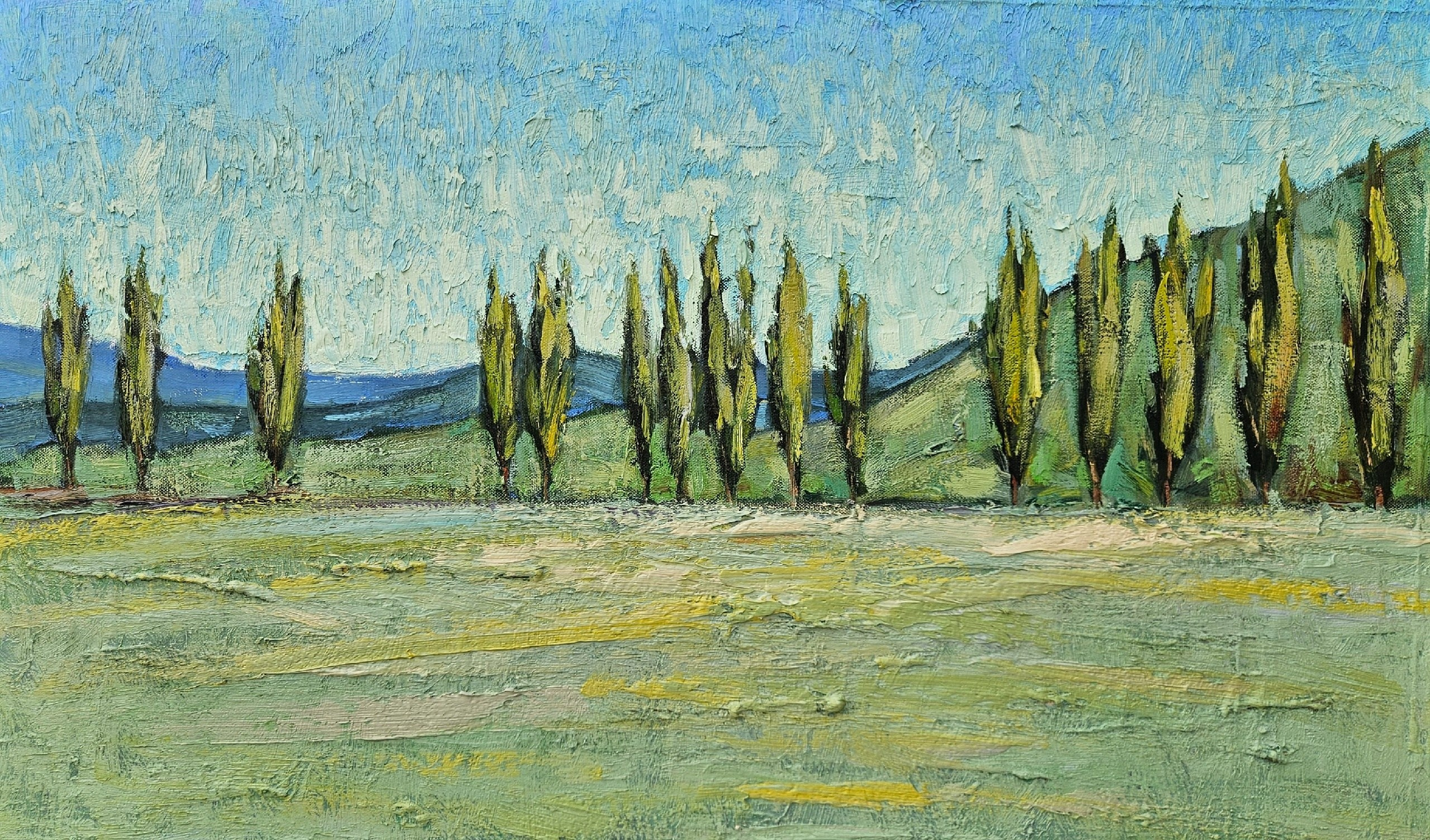 Художник Ленур Велиляев