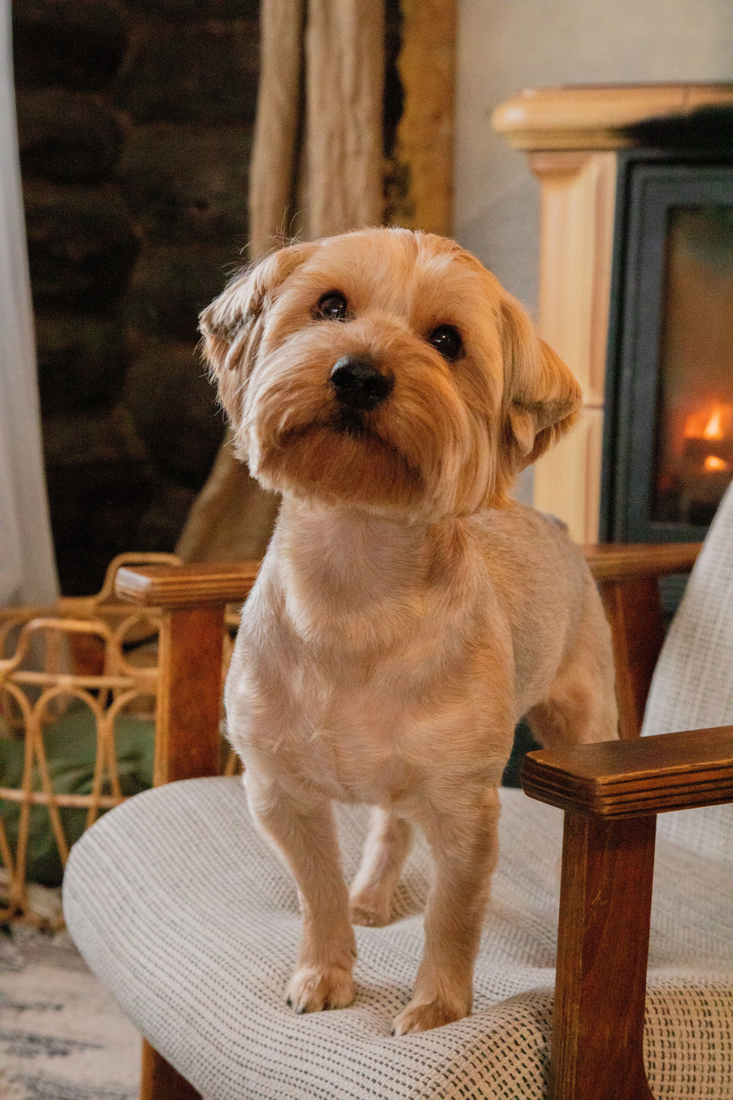 Весна. Загородная фотостудия Глэмпинг в МО