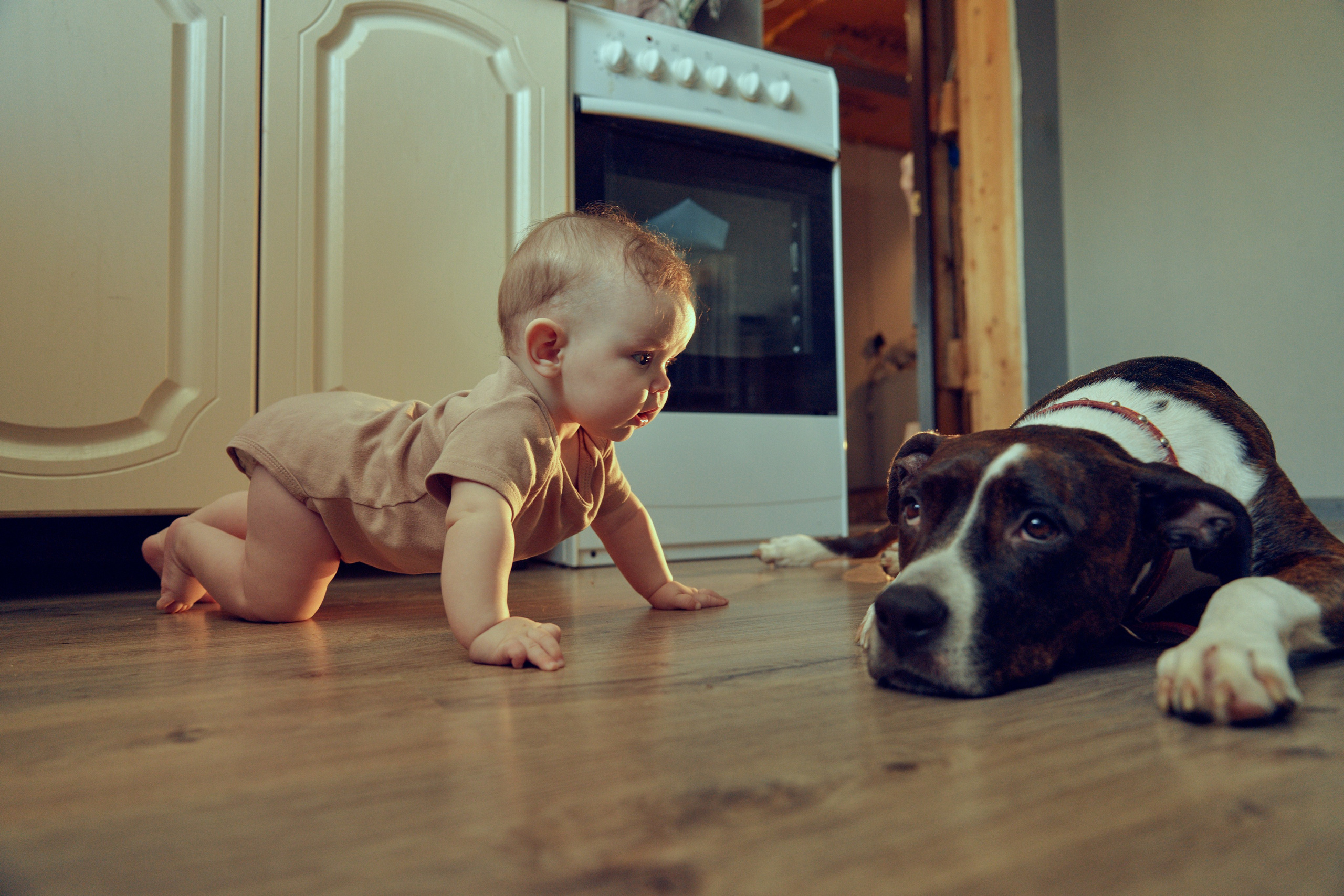 Любовь не нужно доказывать. Семейный и детский фотограф Светлана Беляева