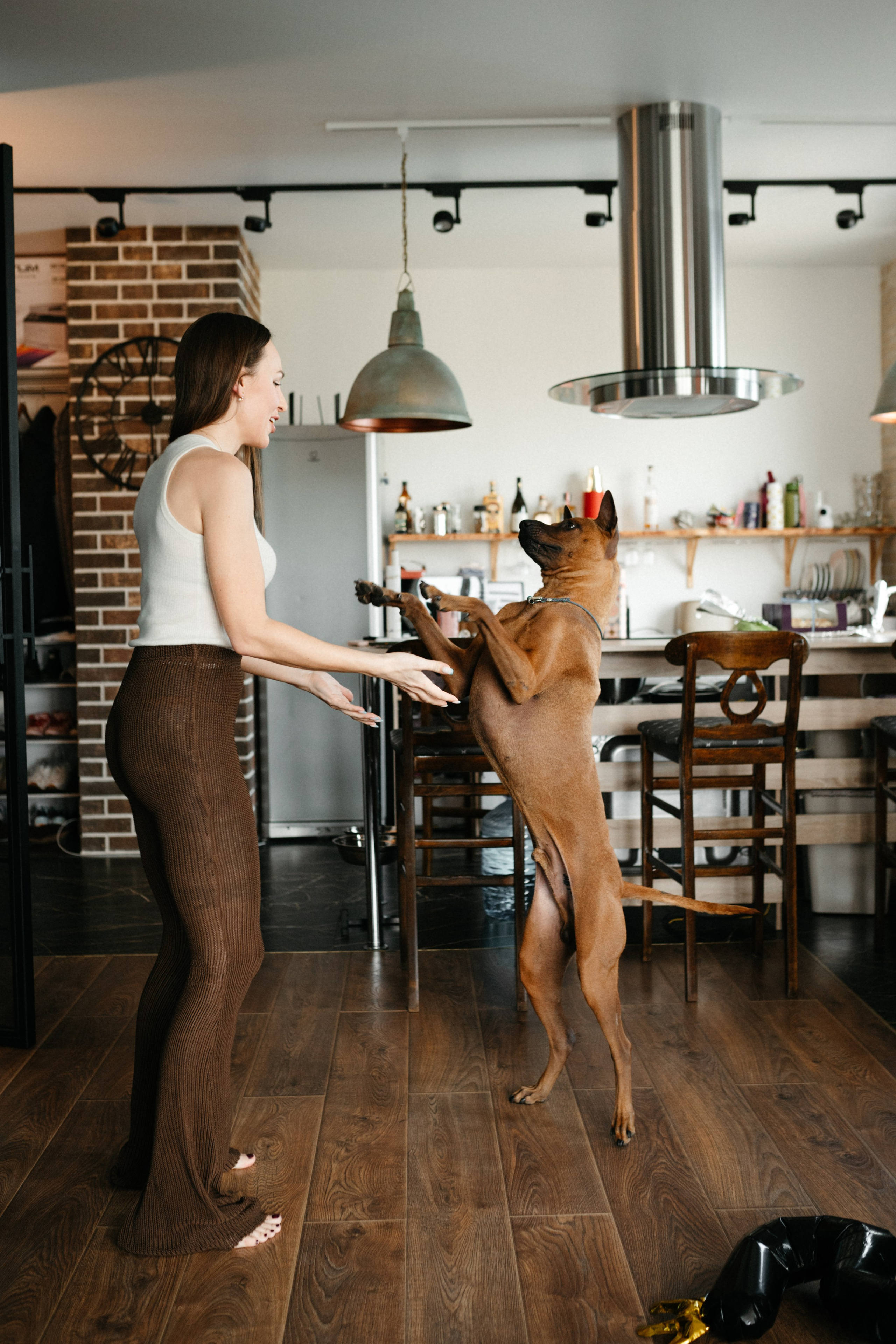 Оксана и Зевс. Фотограф анималист в Москве Ольга Агушева