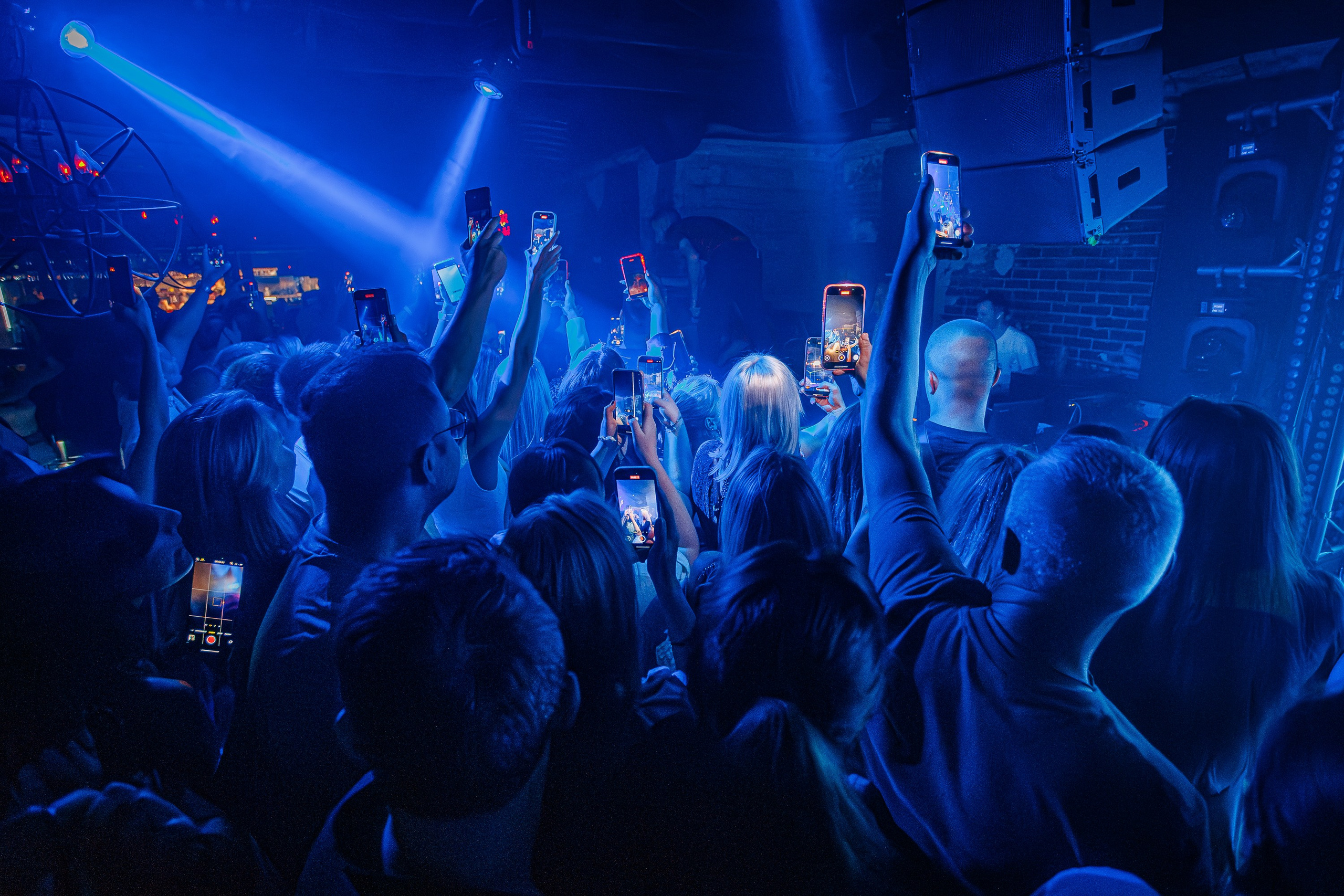 «Шура"_Чайка на пляже_Ялта_18.07.2025 г. Аминов Руслан | Фотограф