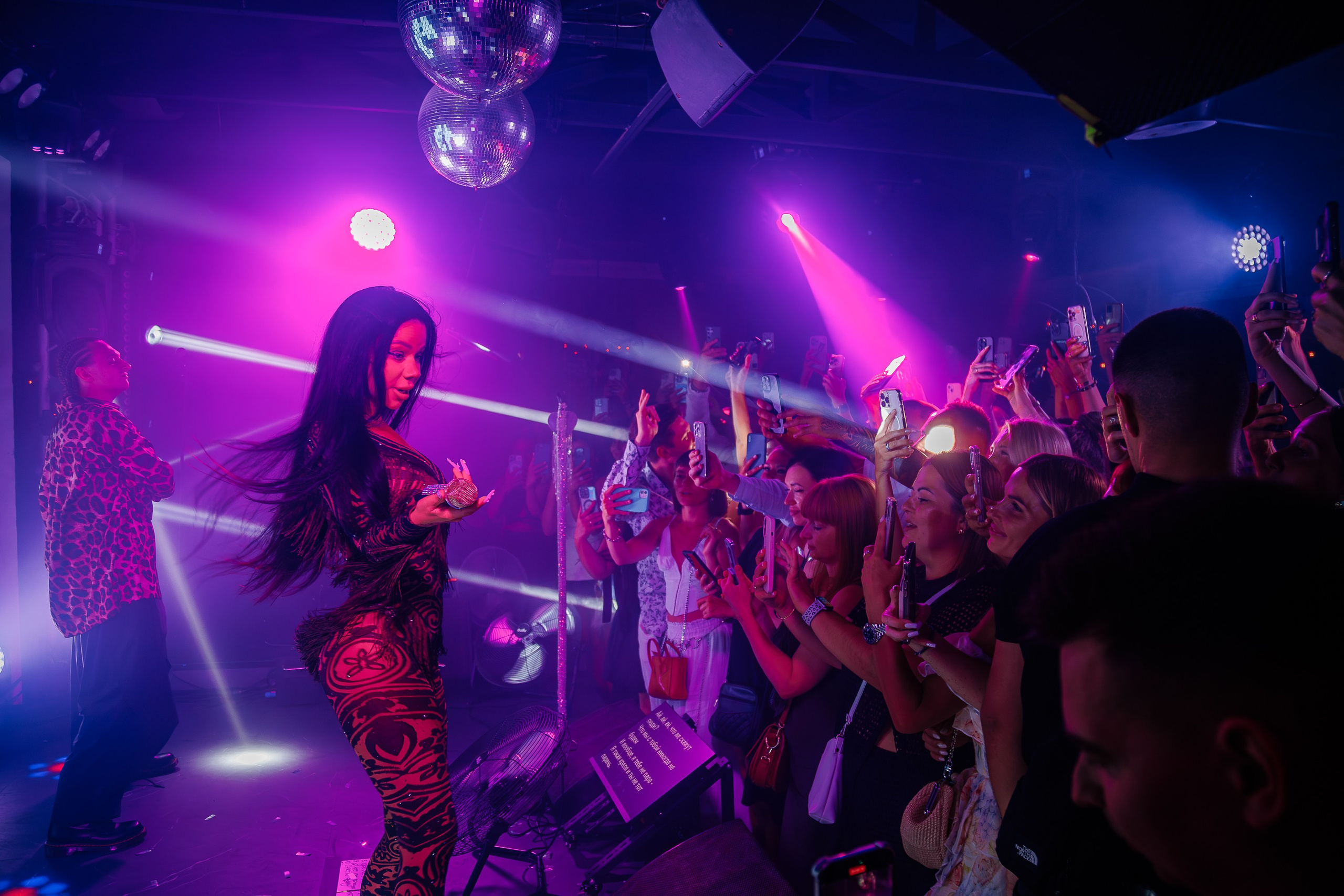 «Бьянка"_Чайка на пляже_Ялта_25.07.2025 г. Аминов Руслан | Фотограф