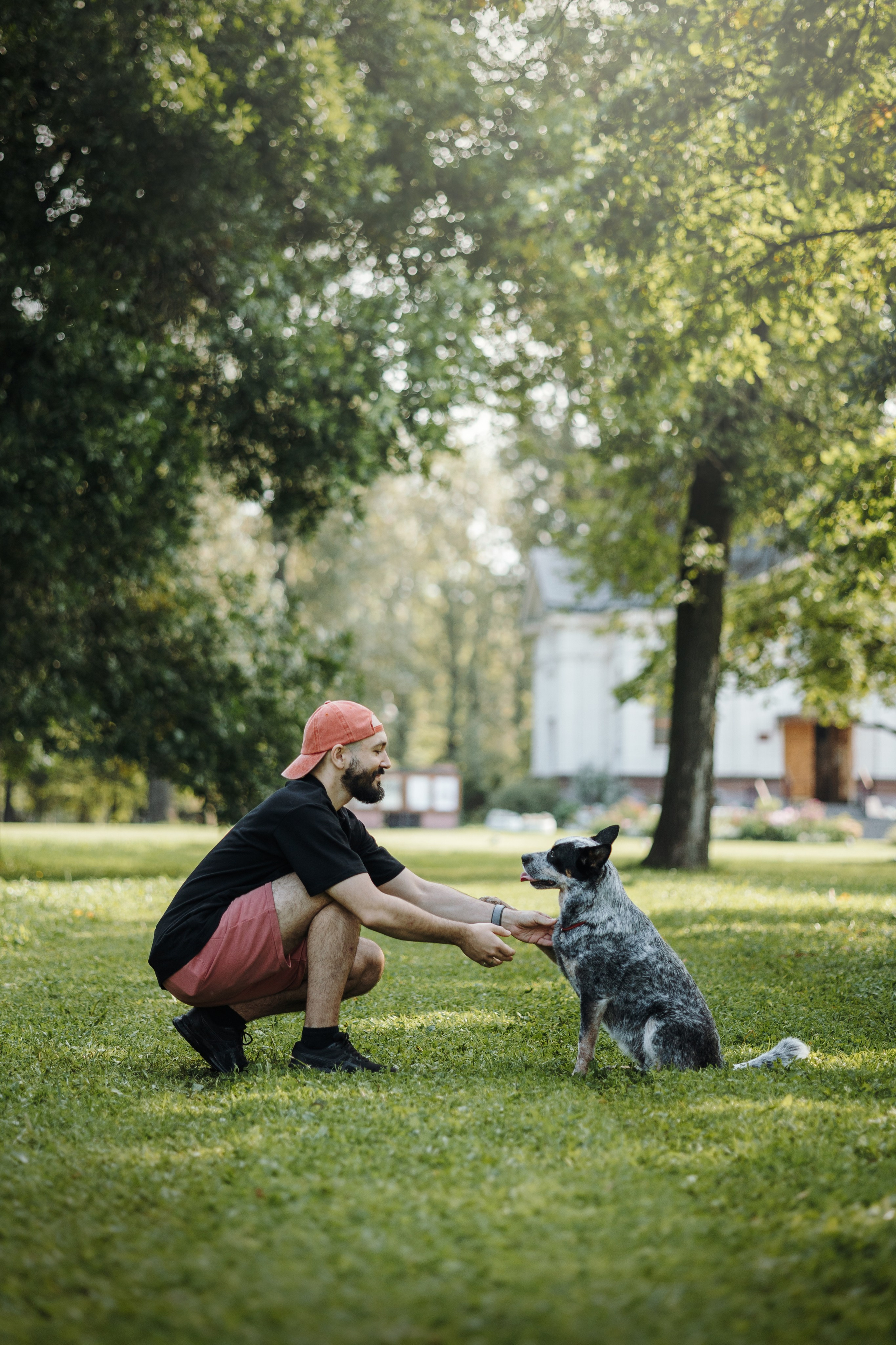 Кода и ее семья. Фотограф — Анималист | Санкт-Петербург