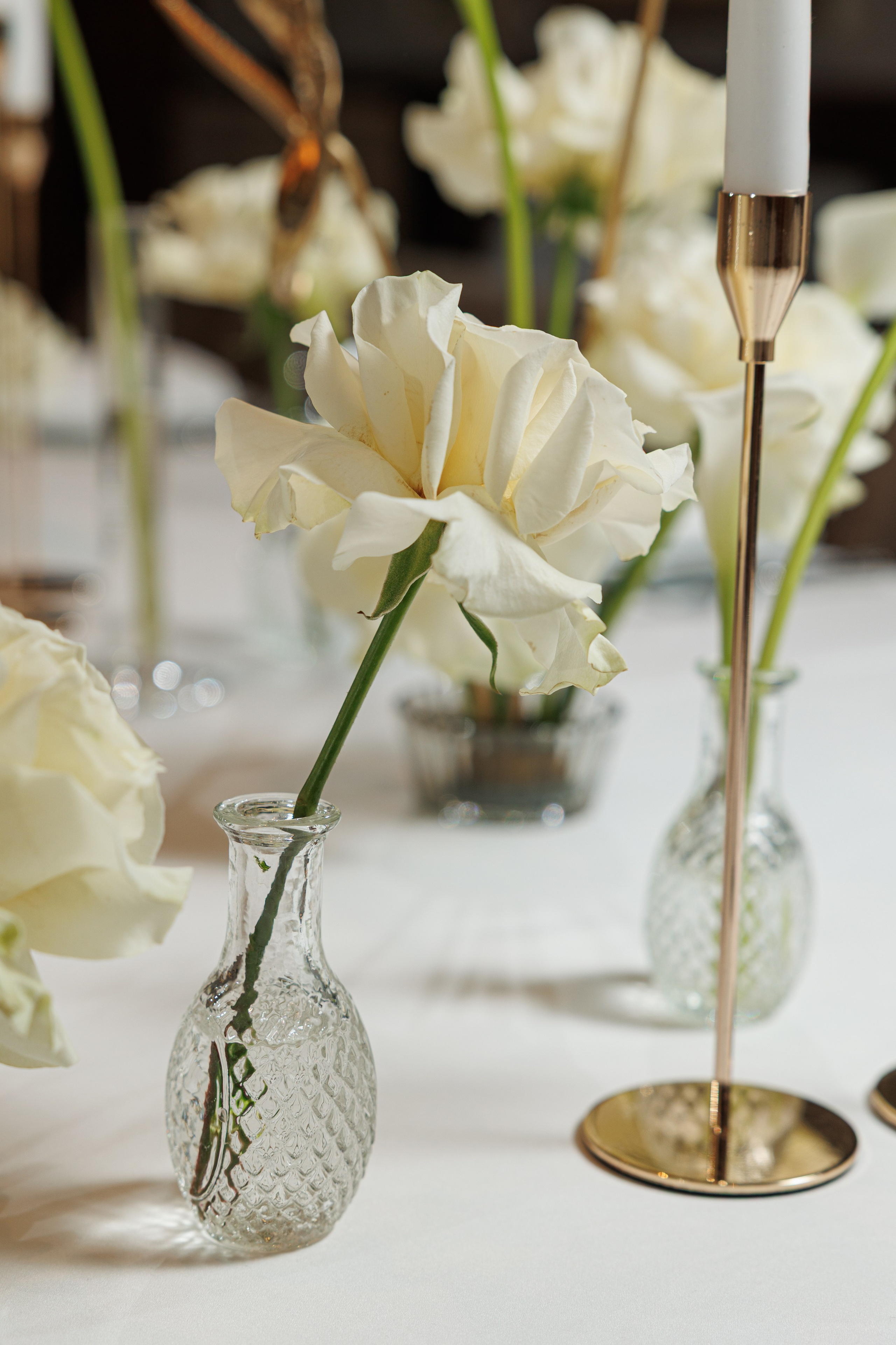 SAVOY. Репортажный фотограф Ольга Кочетова в Москве