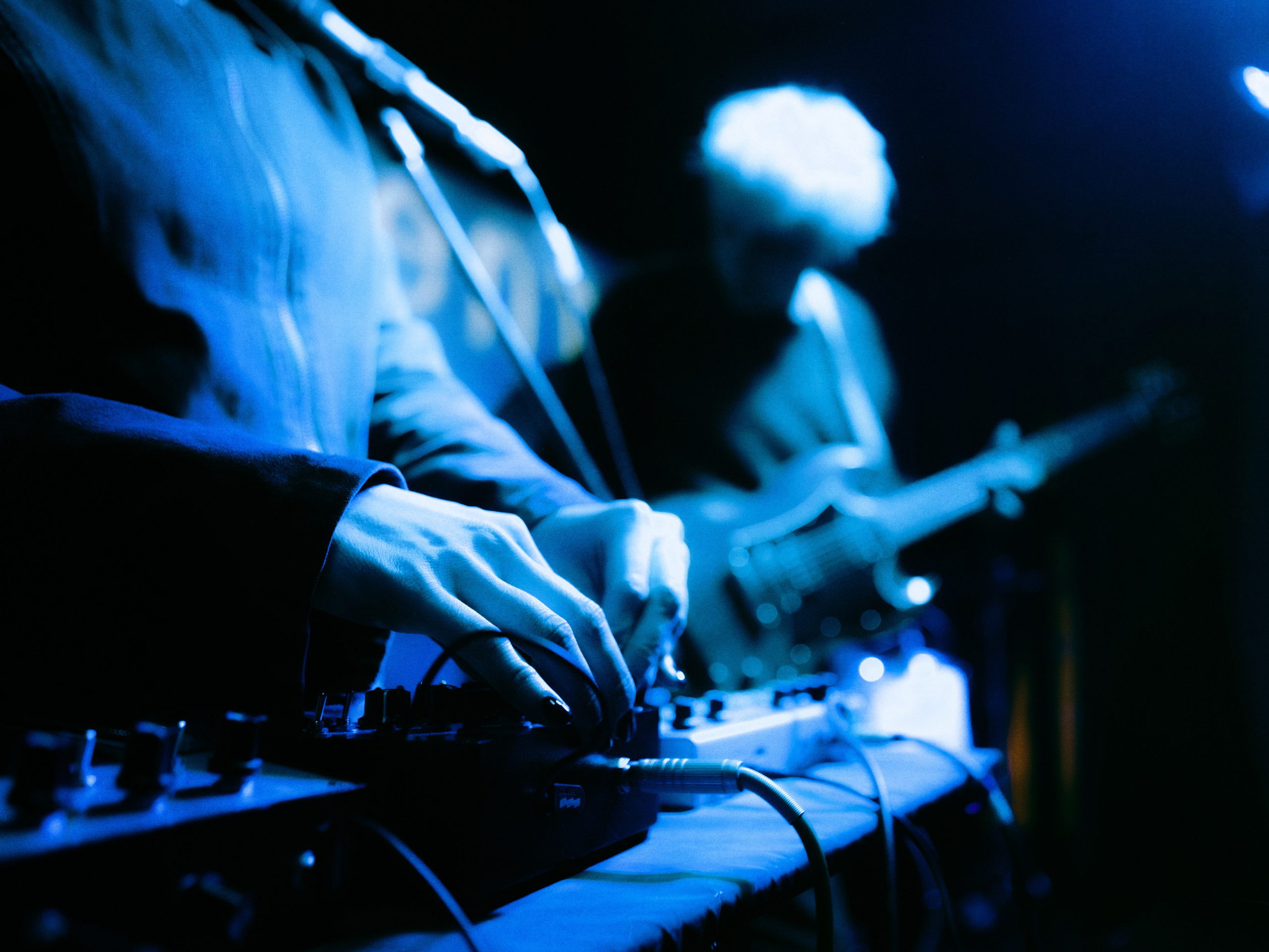 Dog Silent [pwrhs]. Фотограф Москва