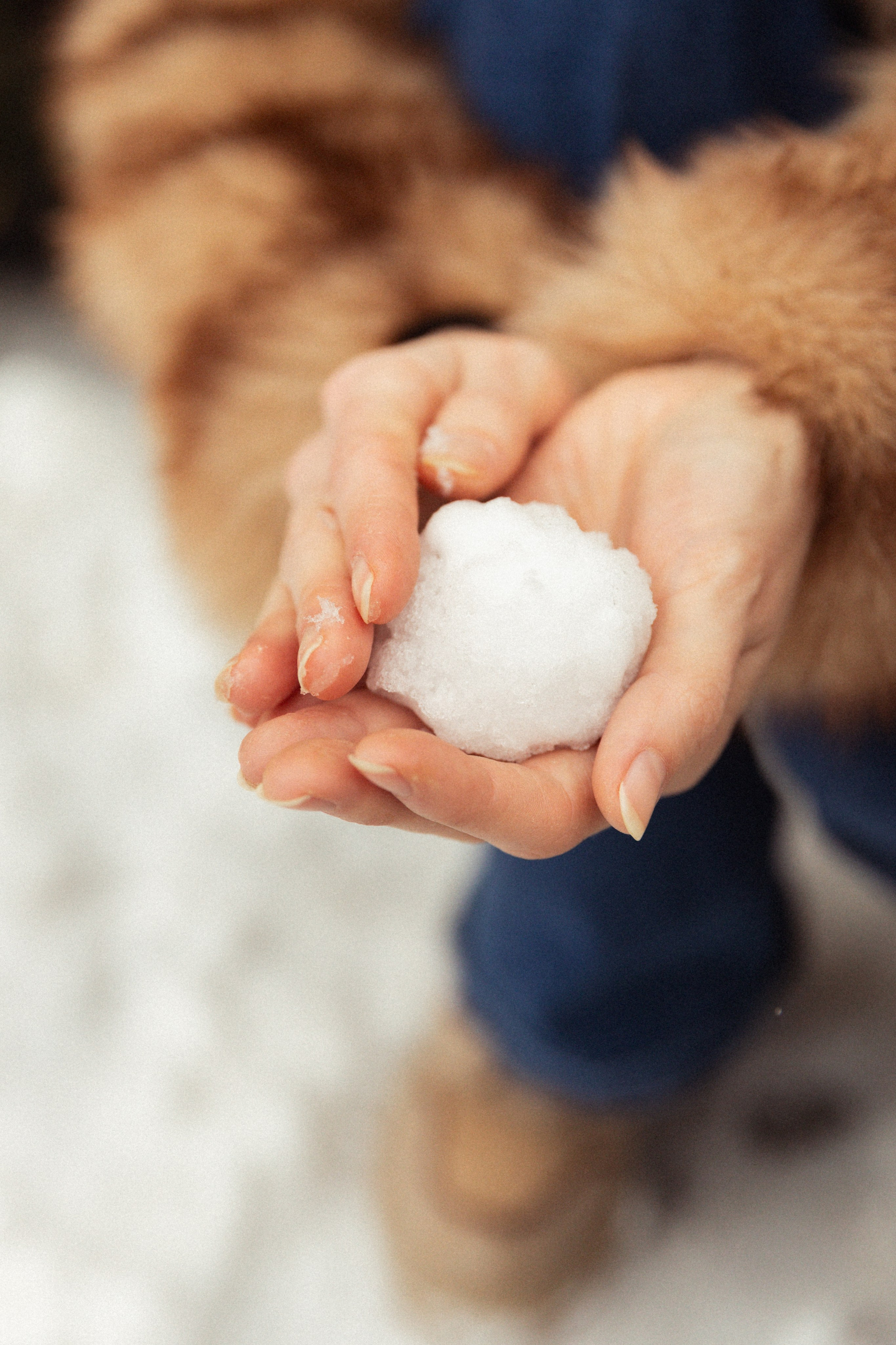 Семья. Фотограф в Нижнем Новгороде Воробьева Анжела