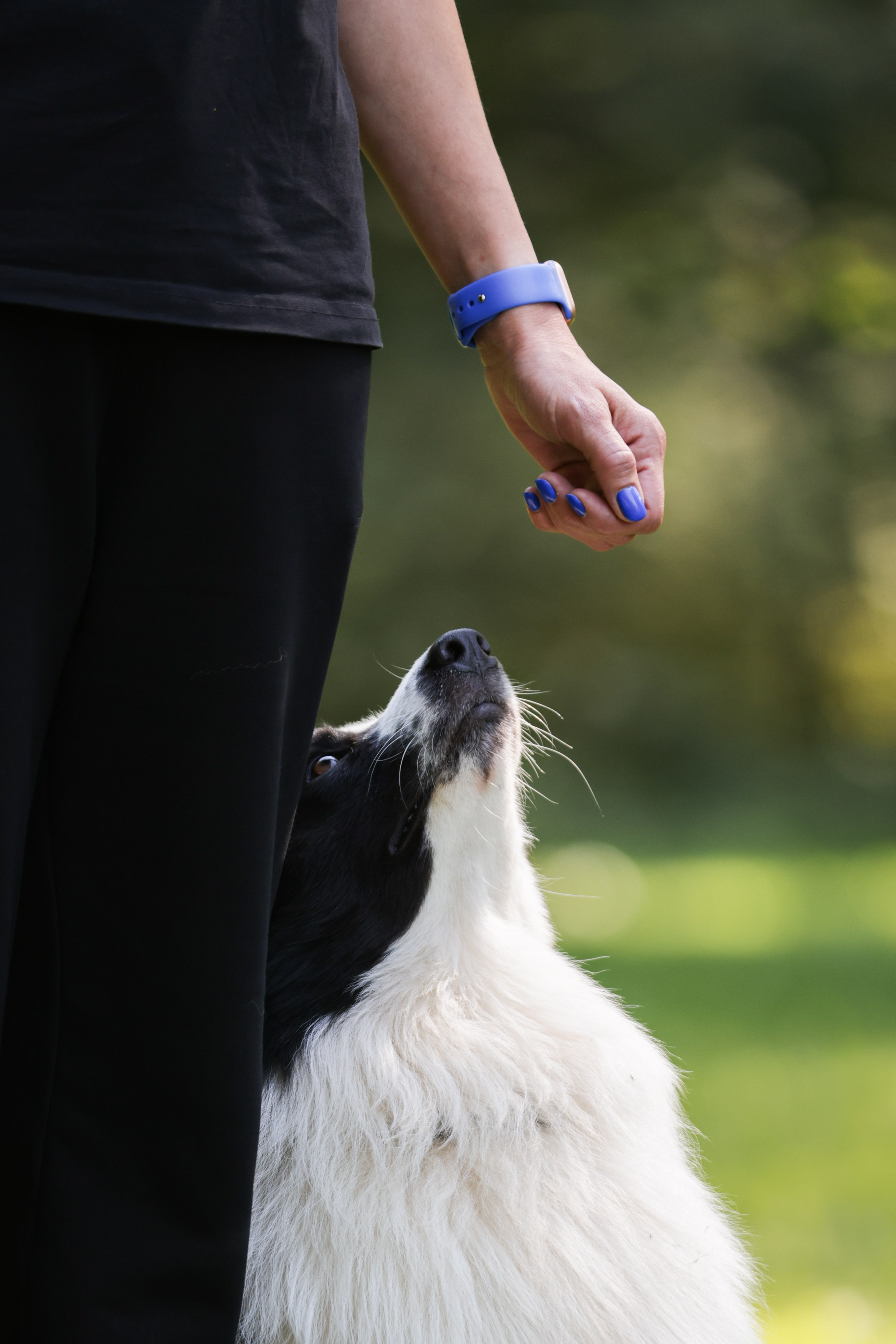 Репортажная съёмка спортивных мероприятий. ESHE_PHOTO Фотограф анималист в Москве и Московской области
