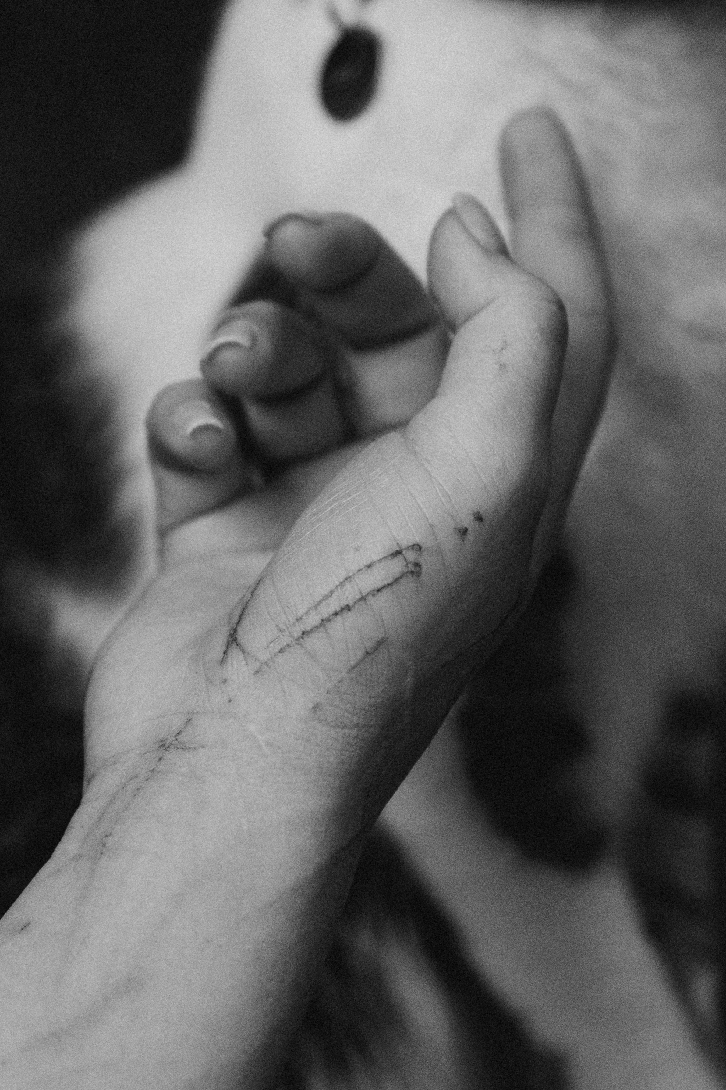 Ксюша и Яша. Фотораф — анималист Мария Шистка