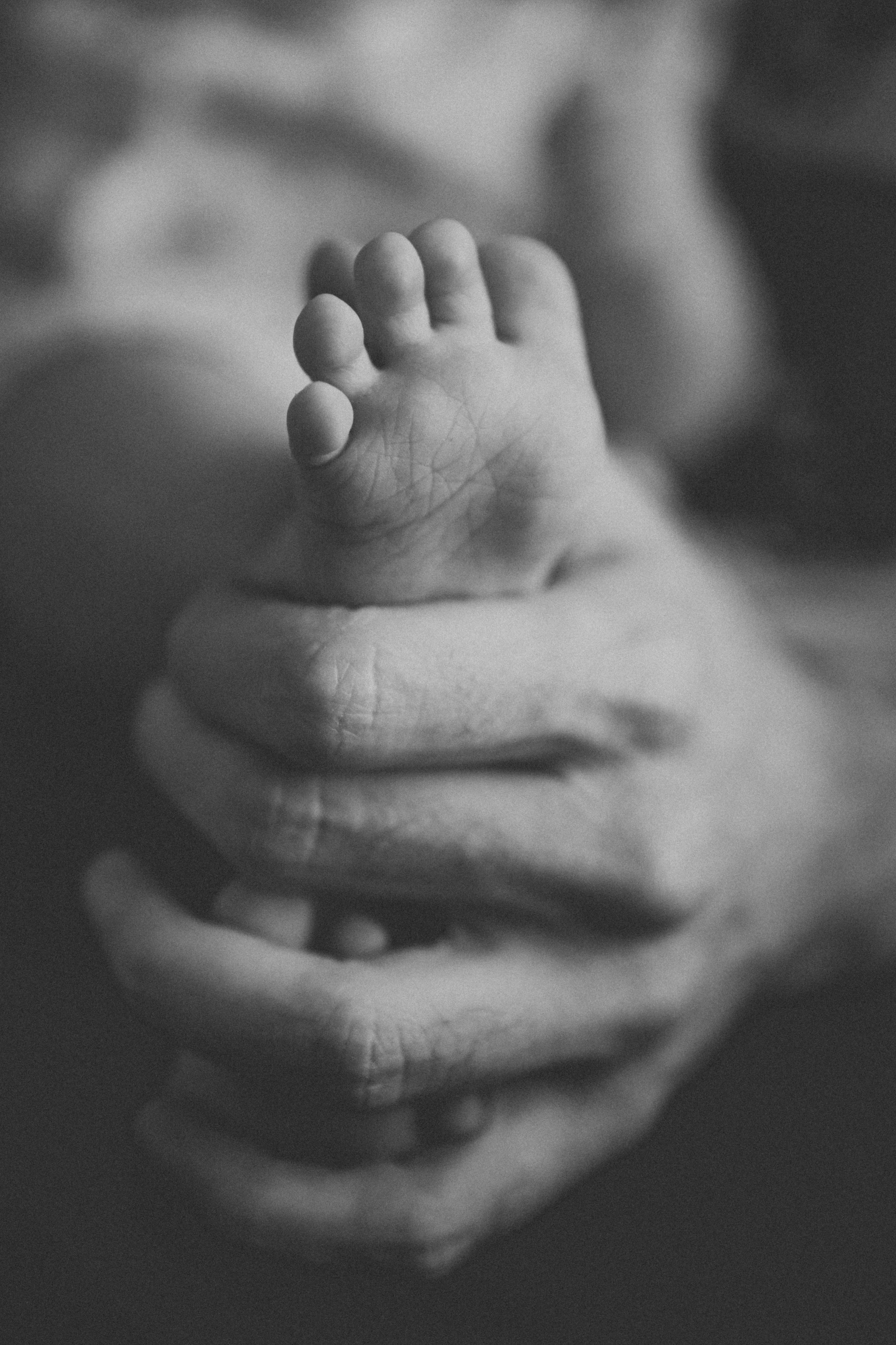 Фотосессия для малышей, домашняя фотосессия для детей. Ньюборн и детский фотограф в Москве Шигина Марина