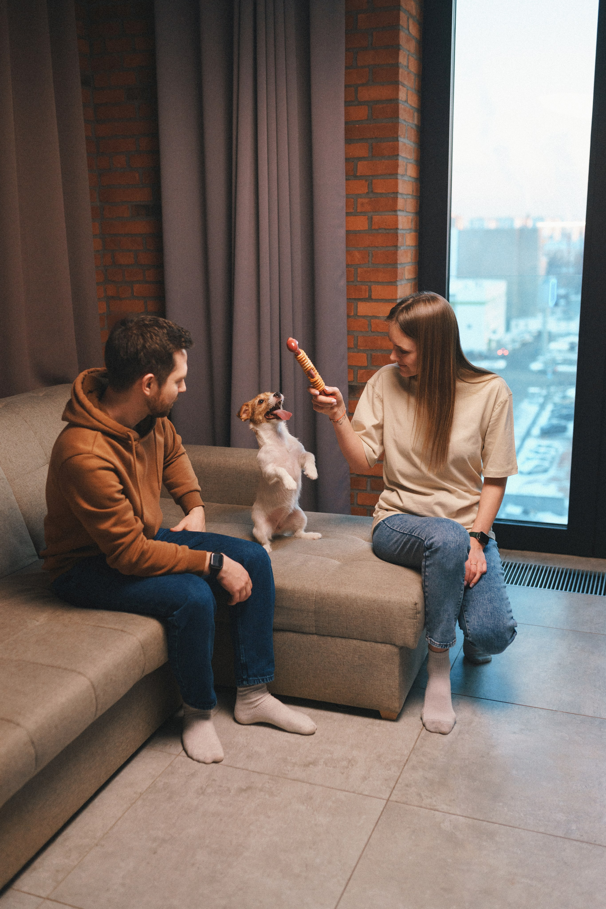 M-Pets. Фотограф анималист Осипчикова Мария