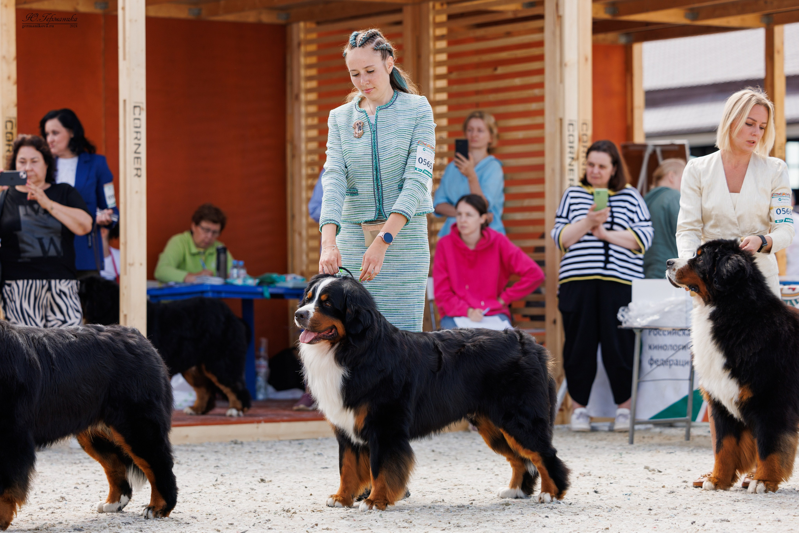 РОССИЯ 8-9.06.2024. Фотограф-анималист Юлия Германика