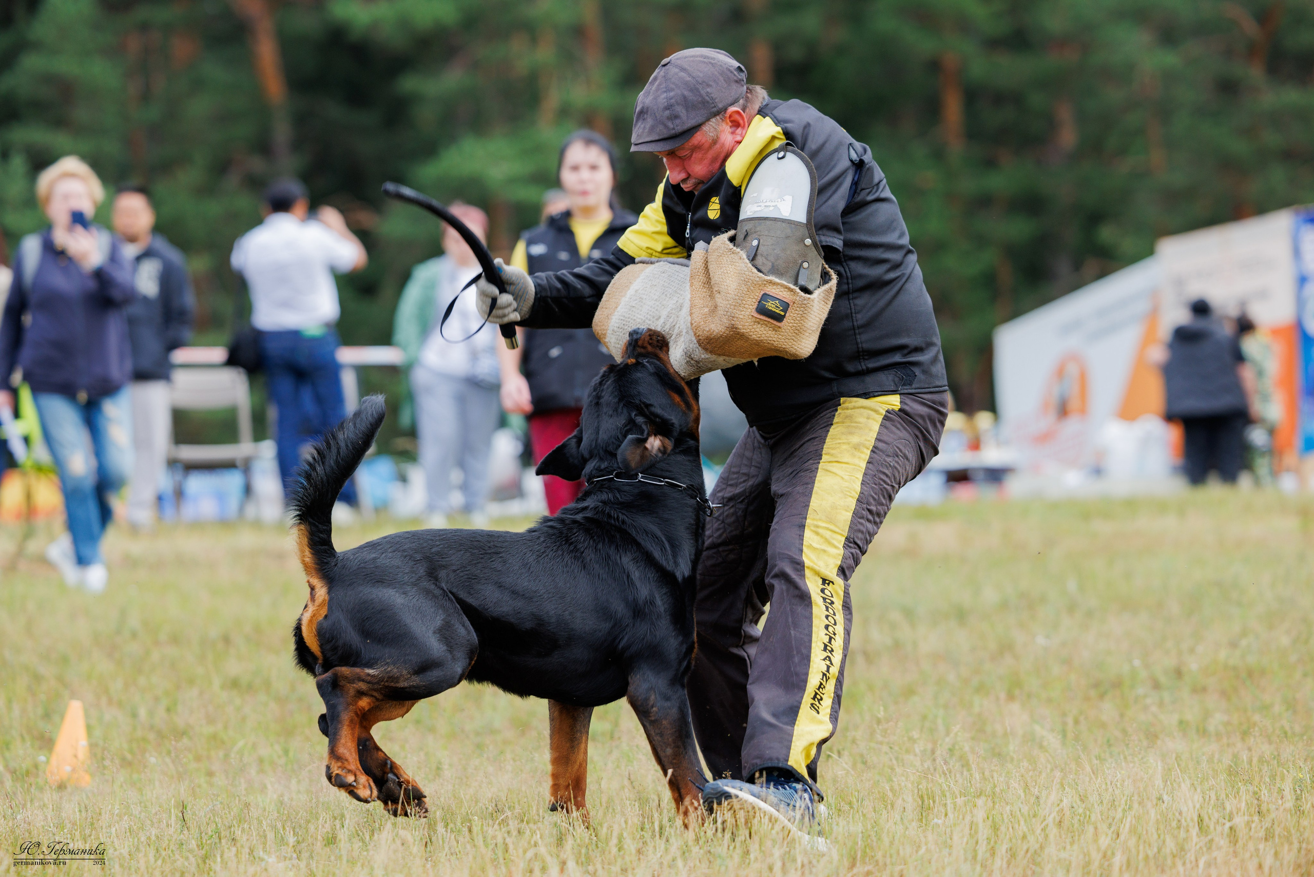 ПК и КЧК ротвейлеры Тверь 6-7.07.2024. Фотограф-анималист Юлия Германика