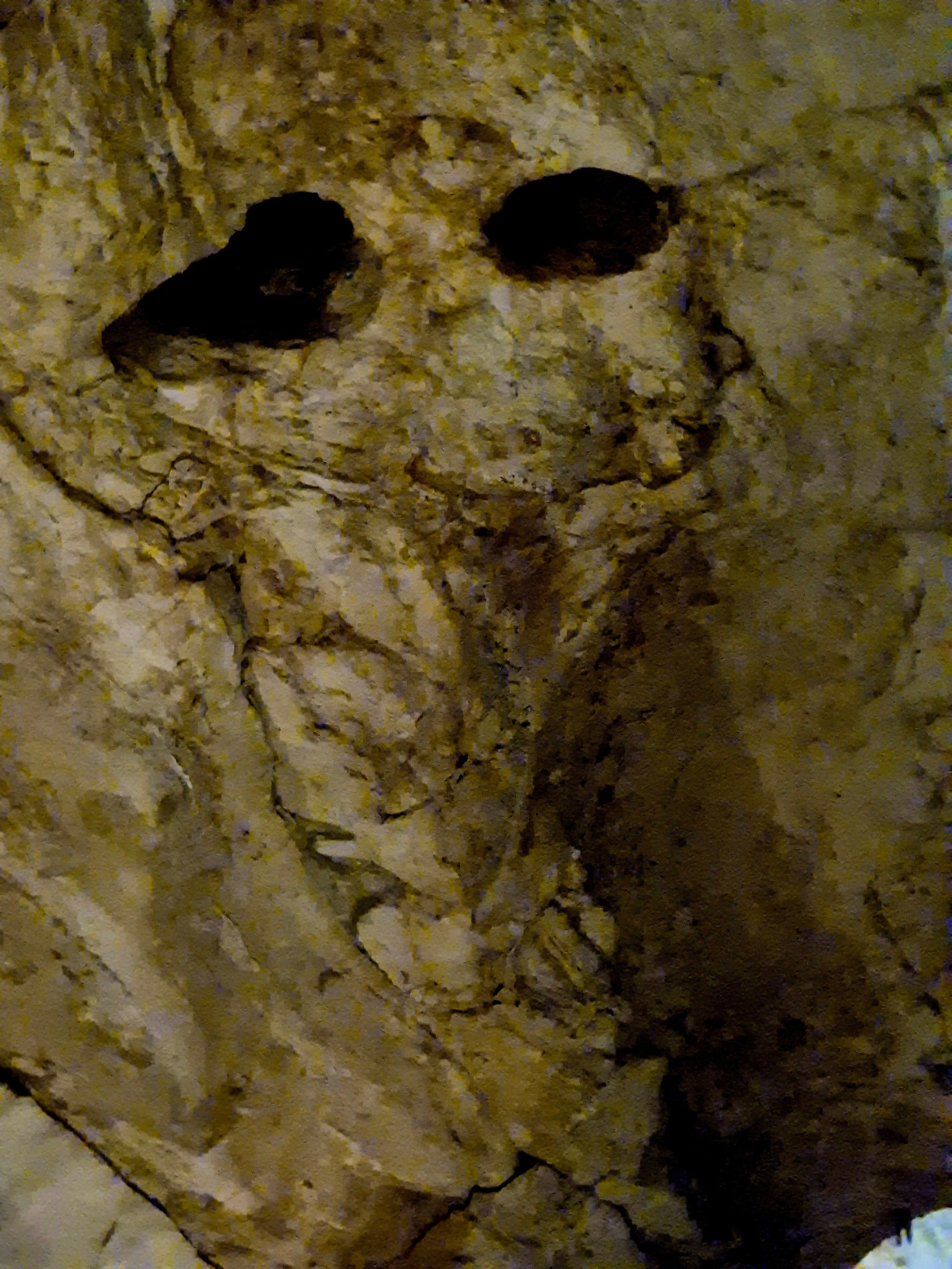 В первый день - столица, Подгорица. По дороге завернули в пещеру Lipa Cave