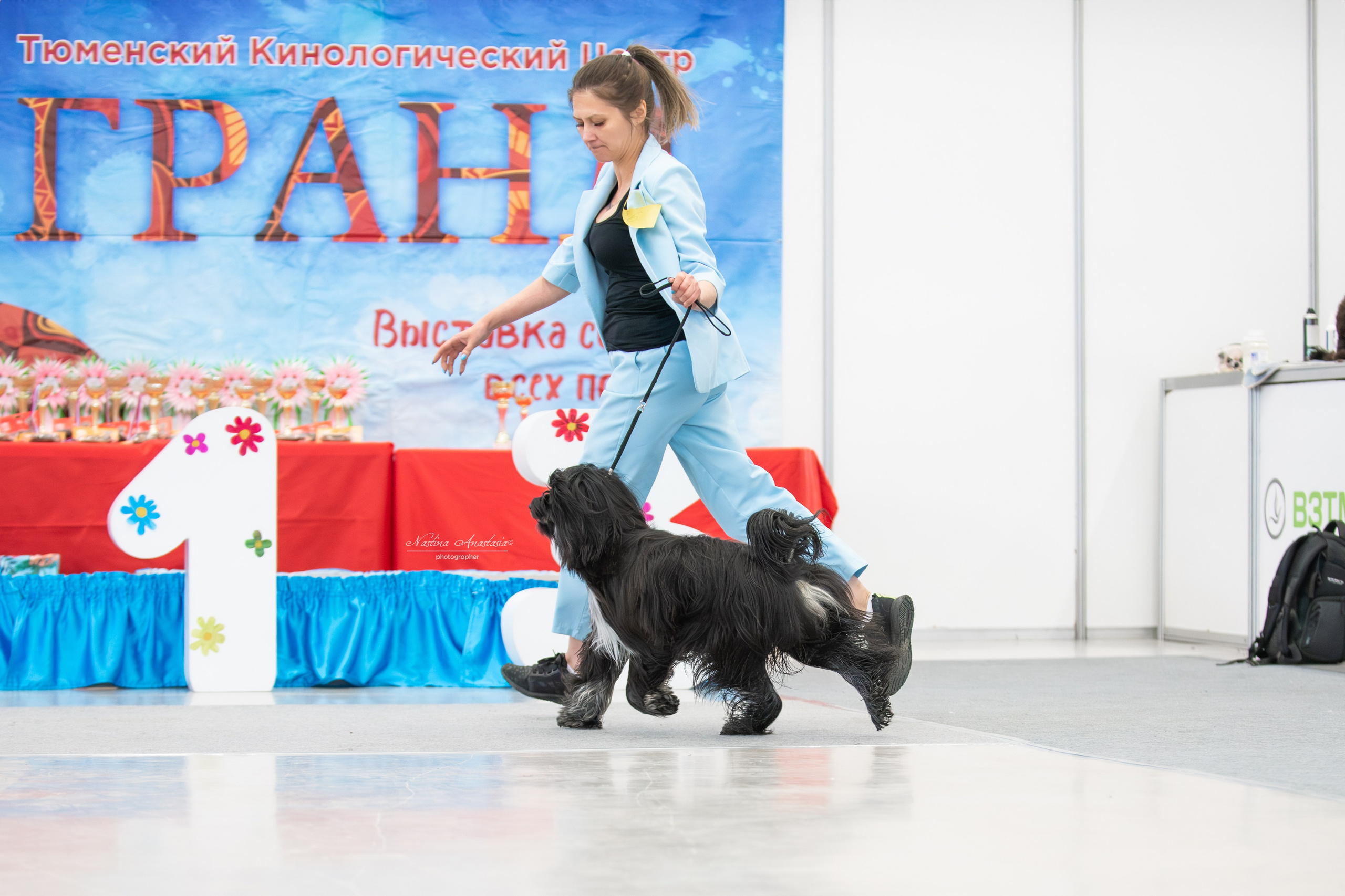 Выставки. Фотограф — Анималист