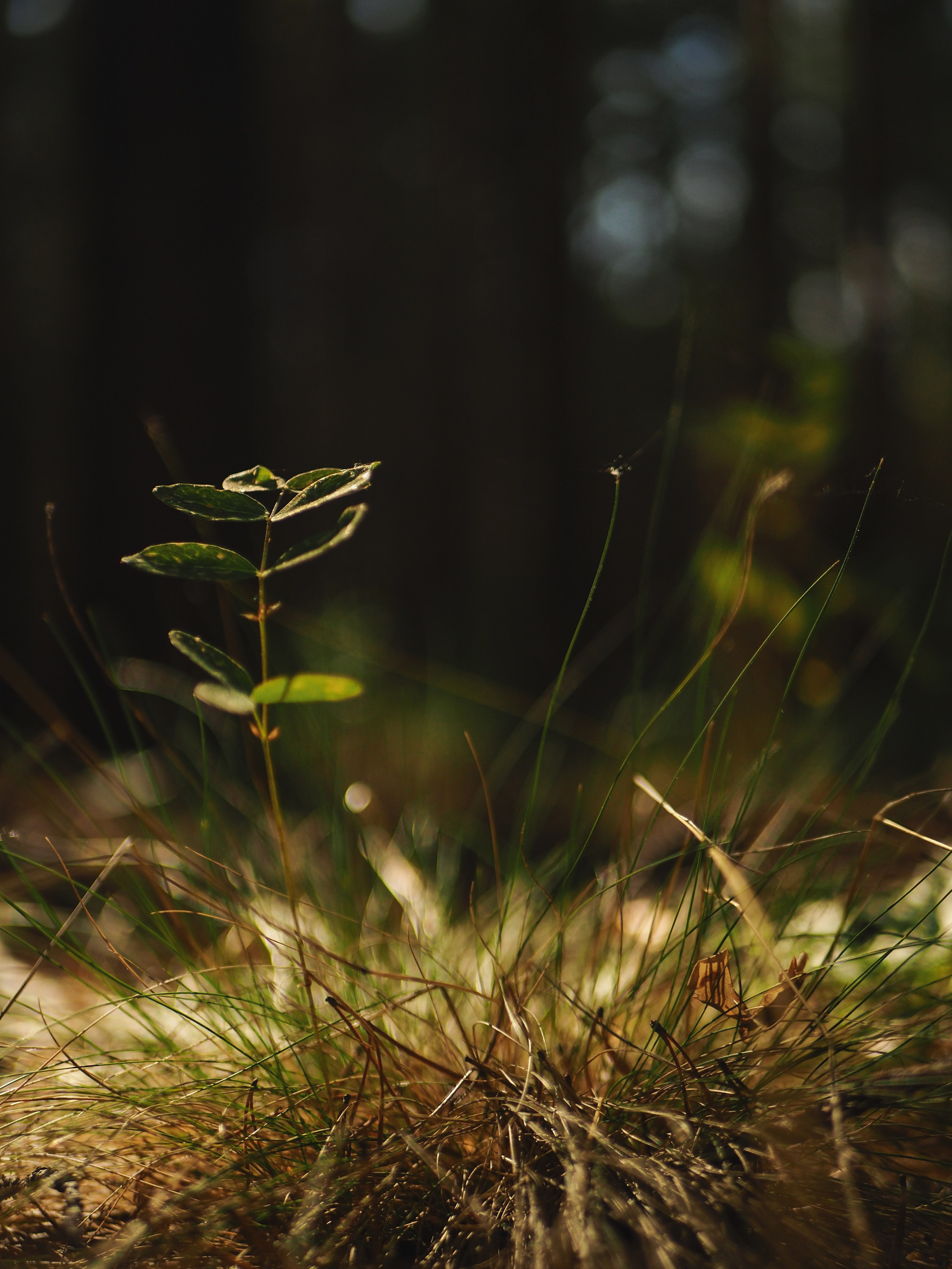 ПЕЙЗАЖИ. Фотограф Чита | Иркутск | Новосибирск