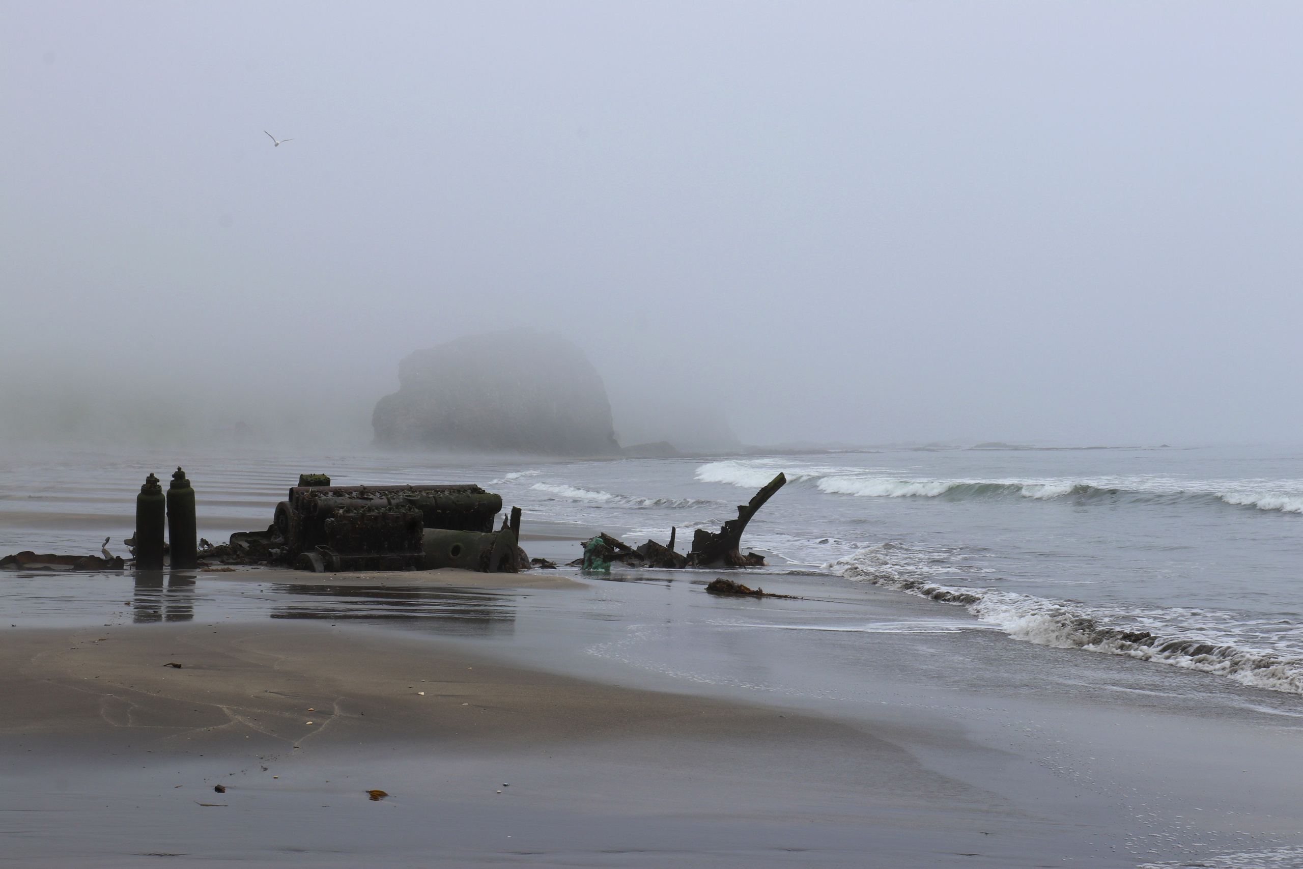 Камчатка и о. Парамушир. Июль 2024. Путешественник-фотограф из Санкт-Петербурга Татьяна Свистулина
