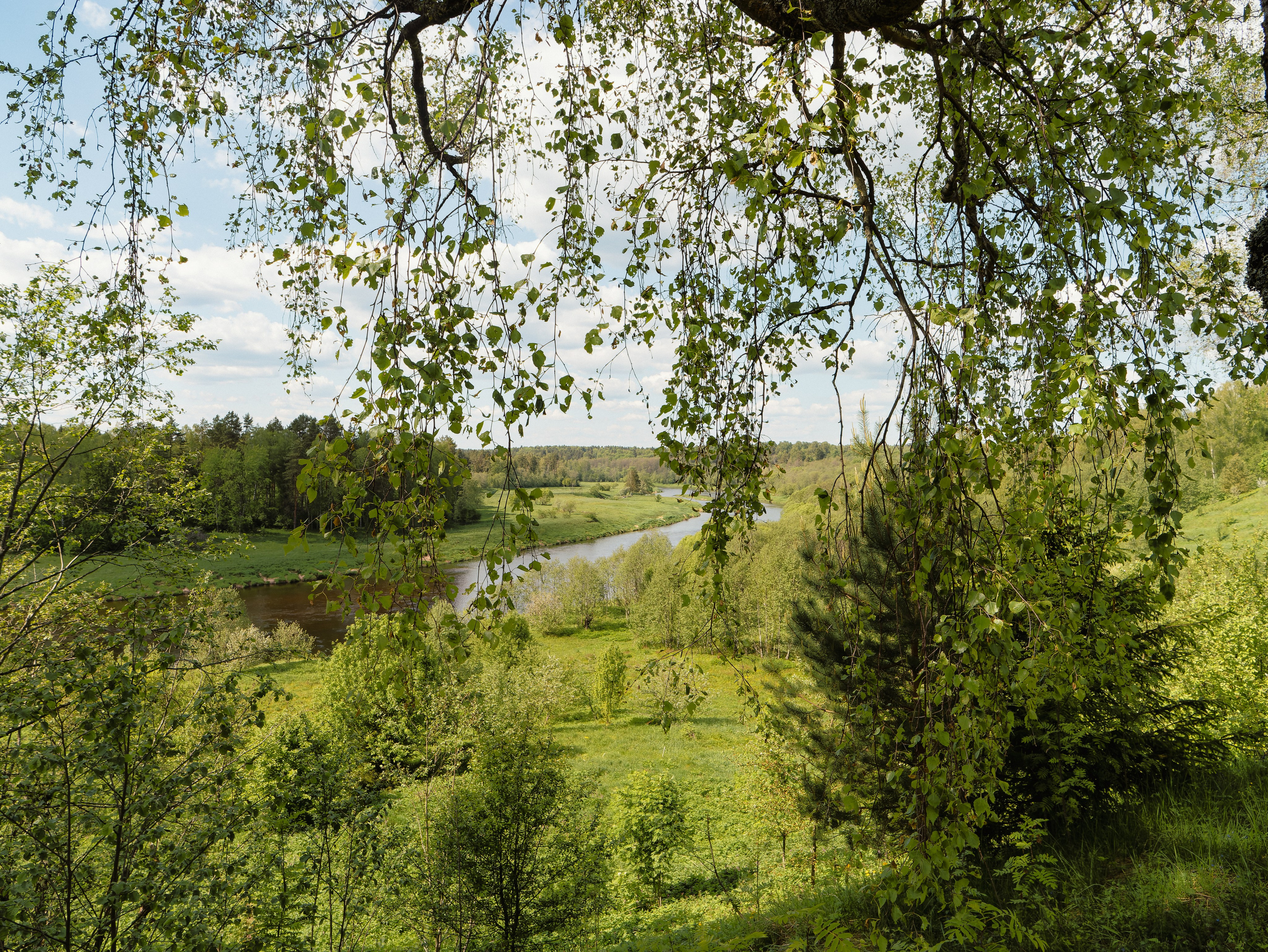 На берегу Угры. Конец мая 2024 года. Фотограф Никифоров-Гордеев Сергей. Москва и МО