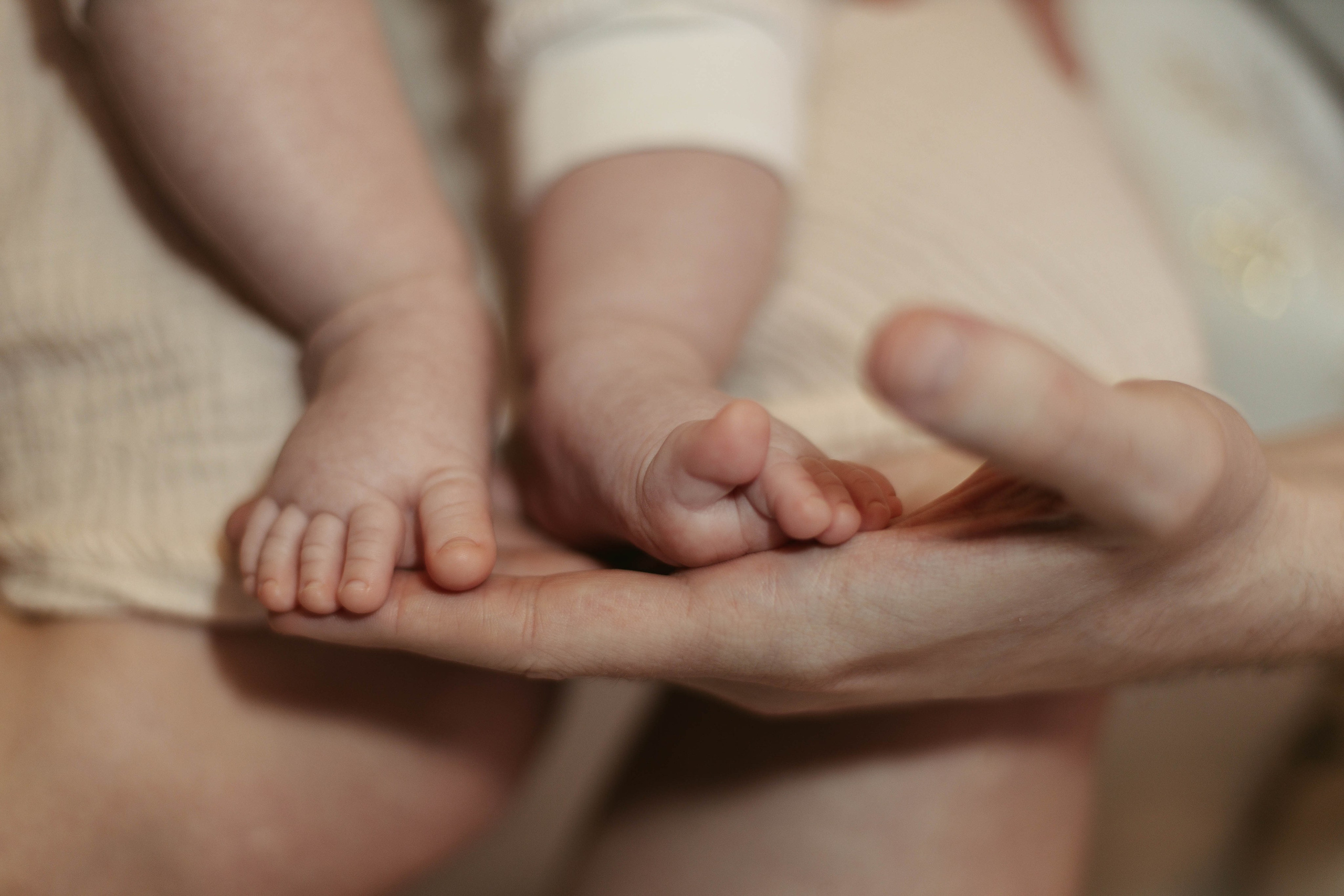 Артём, Вика и Вероника. Семейный фотограф Гульцовская Екатерина