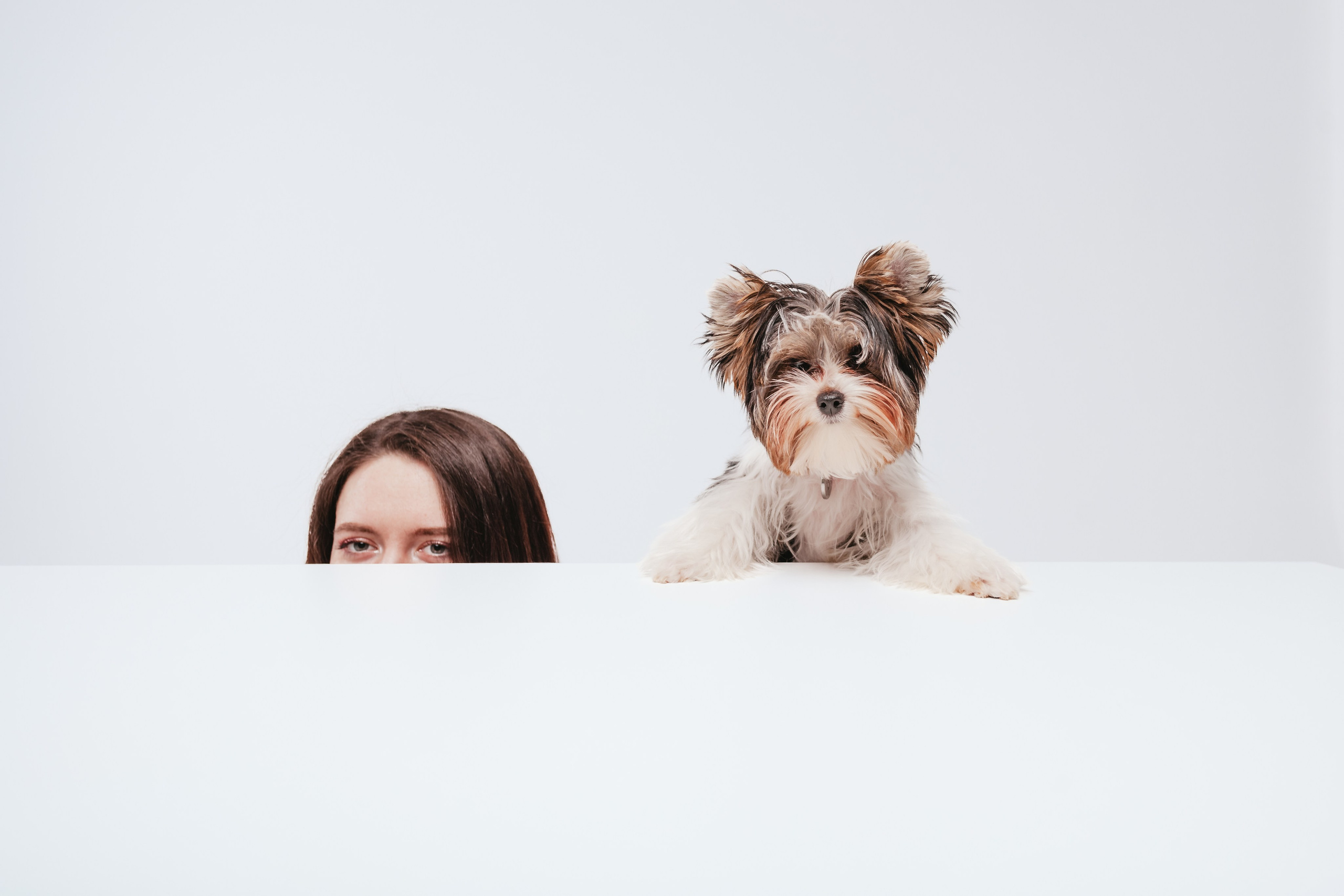 Студия близняшки. Фотограф-анималист Татьяна Степанова