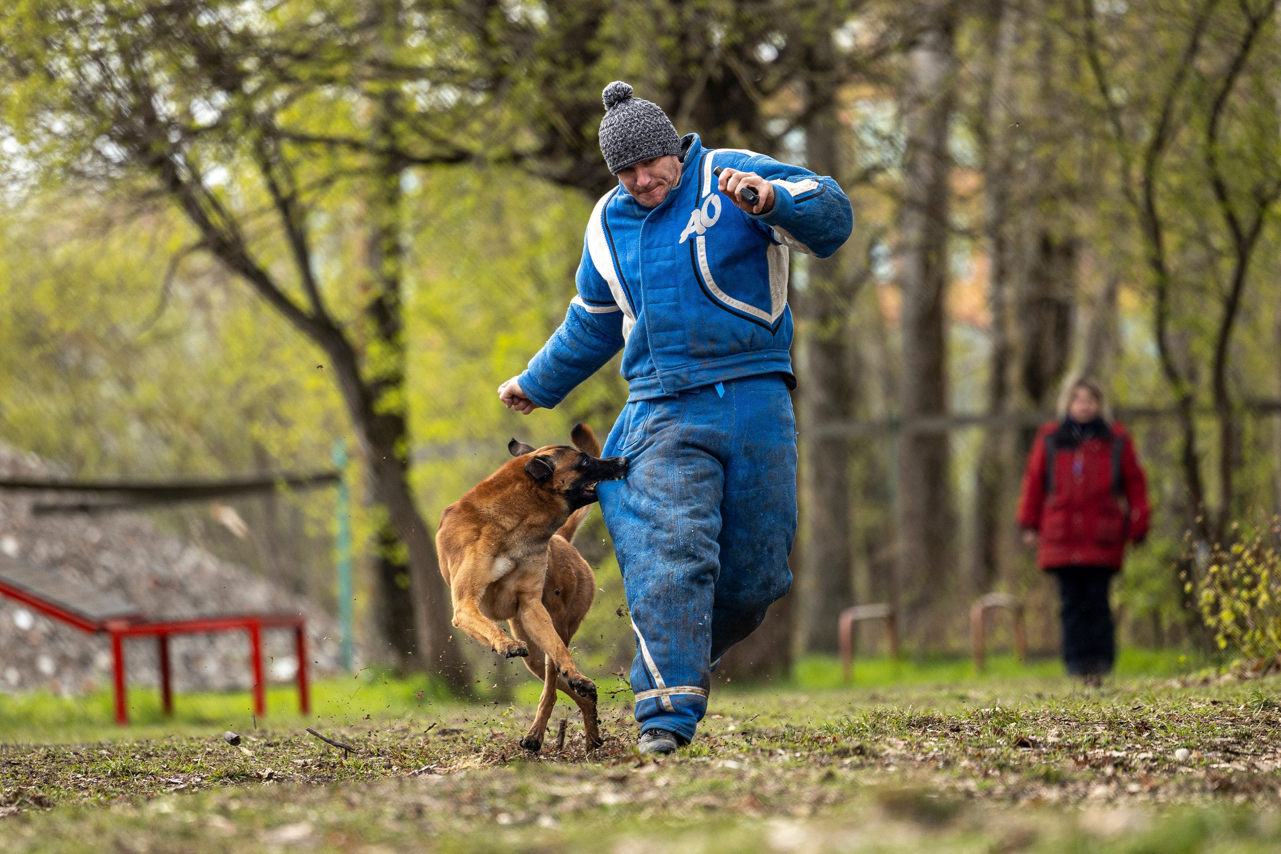 Квалификационные состязания по мондьорингу г. Вологда 11.05.24. Фотограф-анималист Анна Маринич
