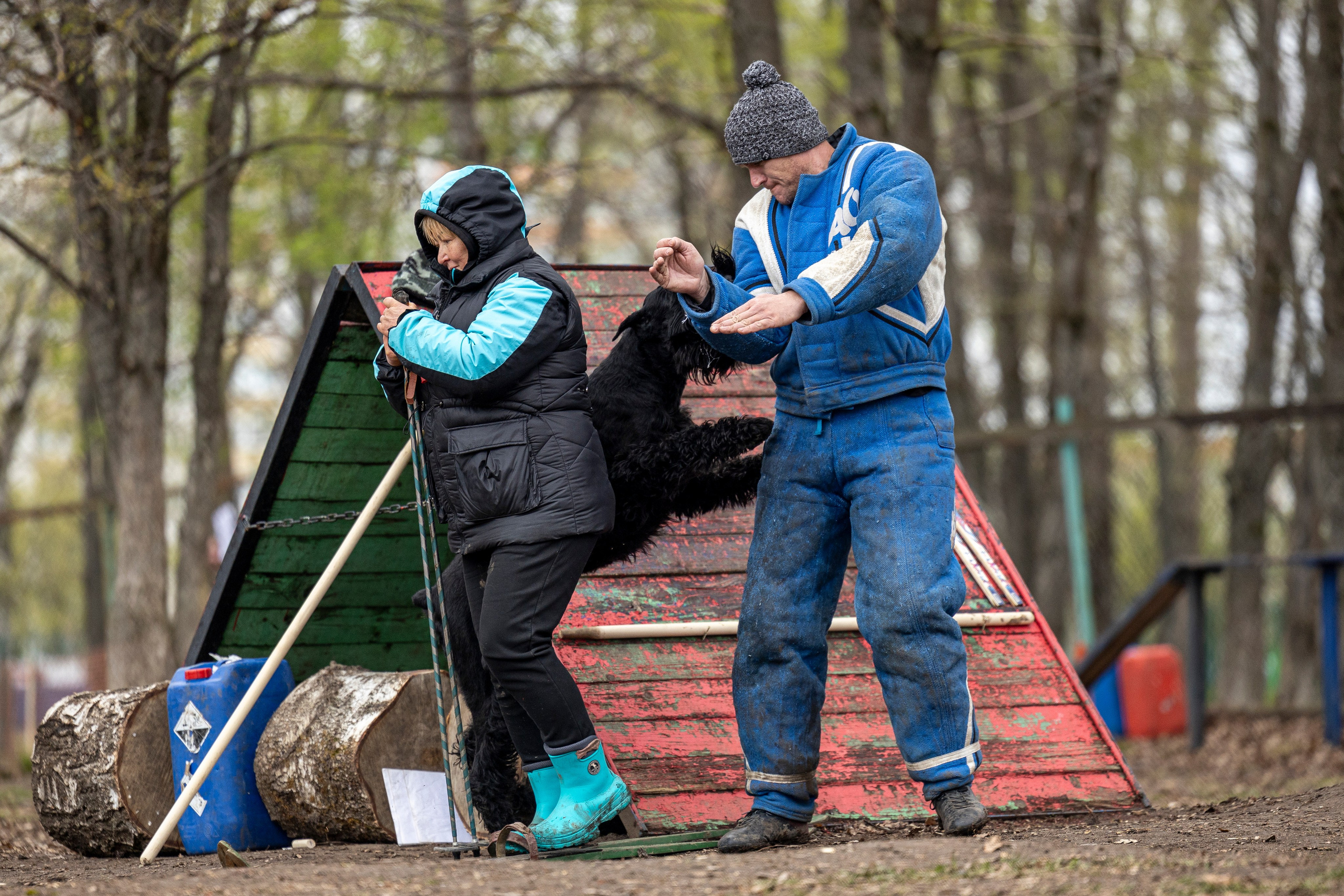 Квалификационные состязания по мондьорингу г. Вологда 11.05.24. Фотограф-анималист Анна Маринич