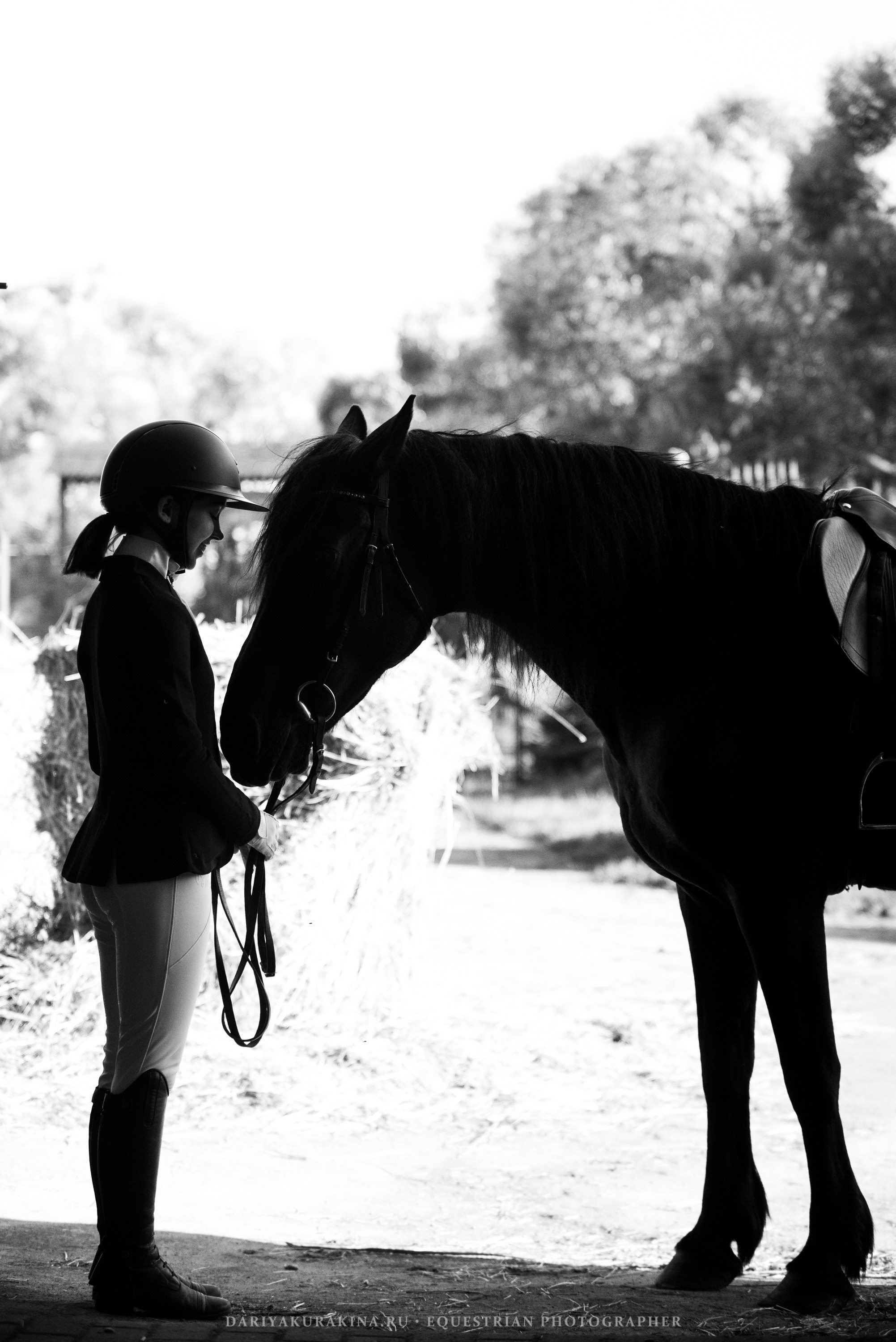Алиса — Аванпост. Конный фотограф Куракина Дарья • Фотосессии с лошадьми