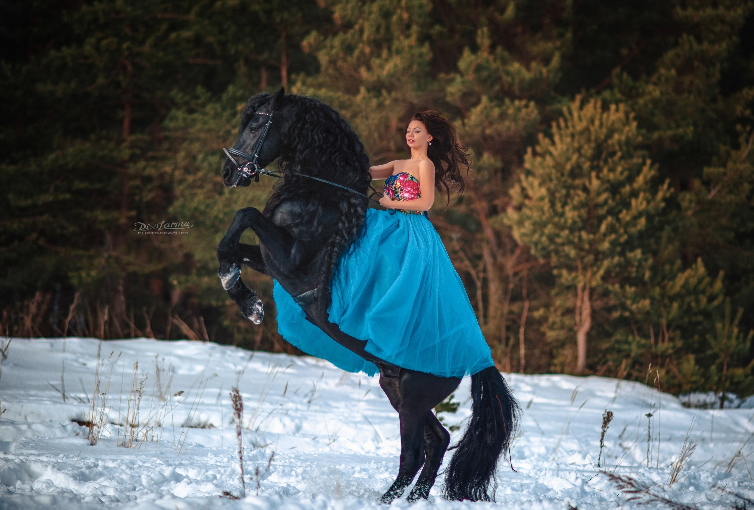 Примеры зимних образов фото Дикси Ларина. Фотограф Варвара Ермоленко