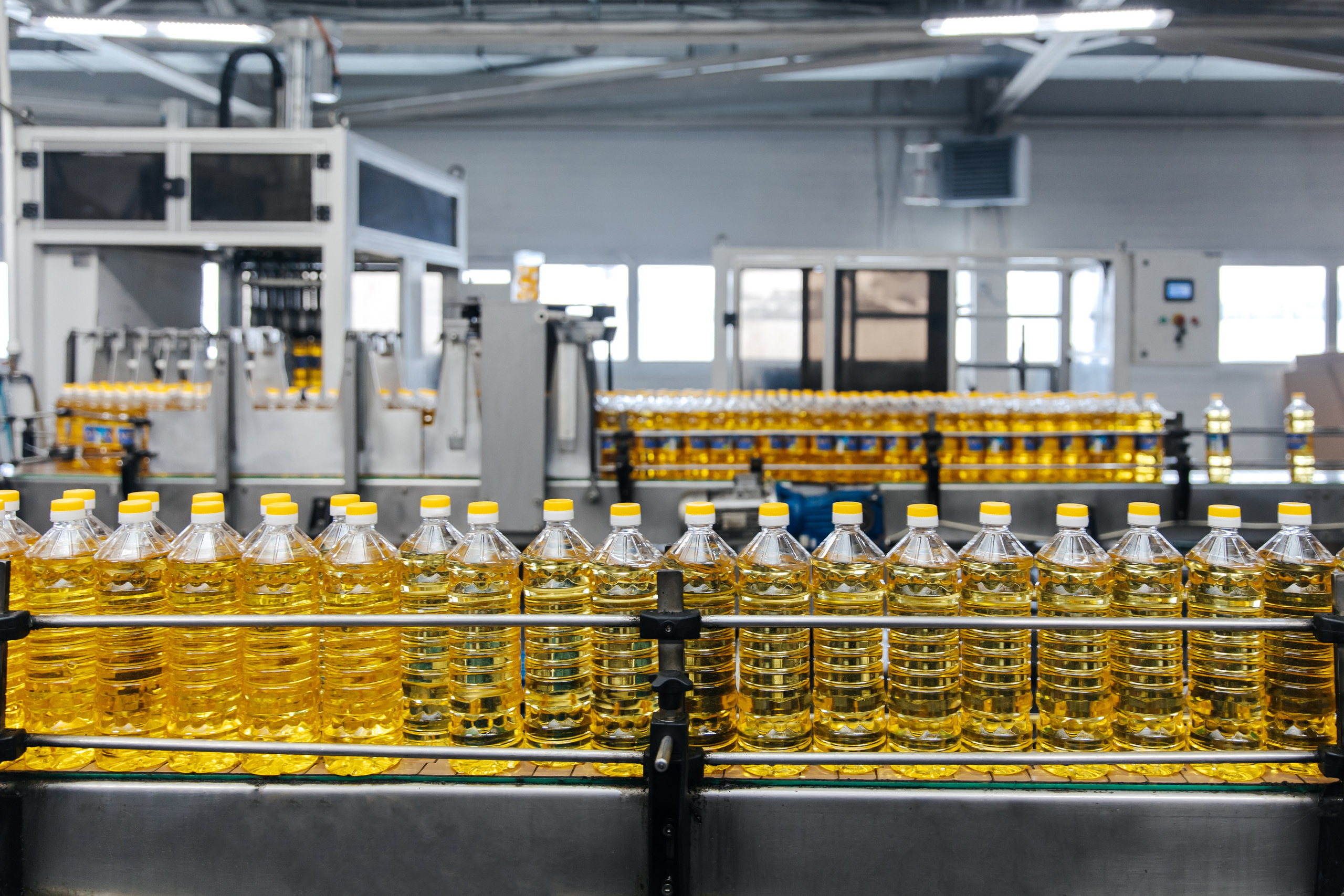 Диво Алтая. Производитель подсолнечного масла. Лихошерстов Андрей — фотограф для бизнеса из Сибири