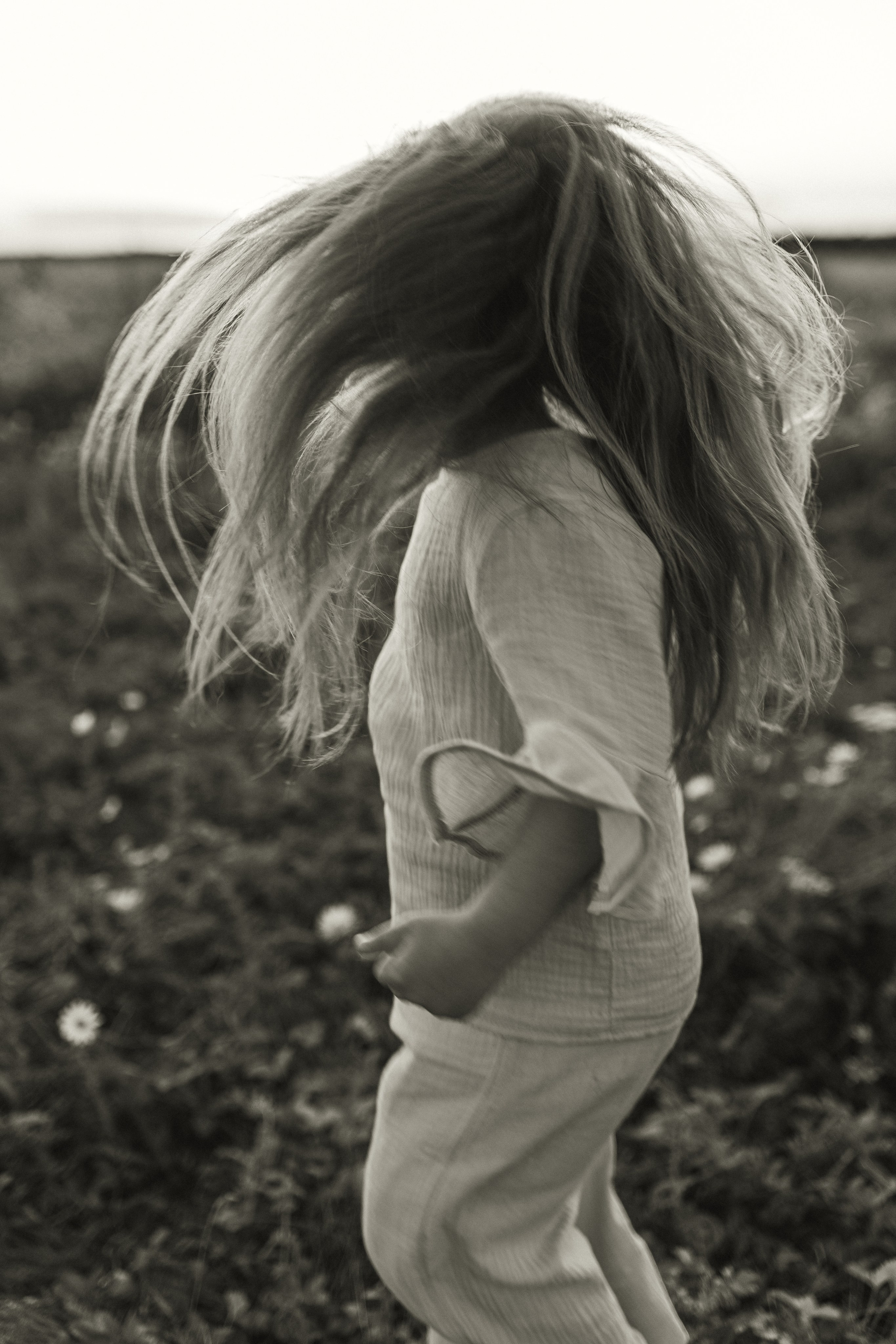 Закат на ромашковом поле. Фотограф в Ставрополе Svetlana Matveeva