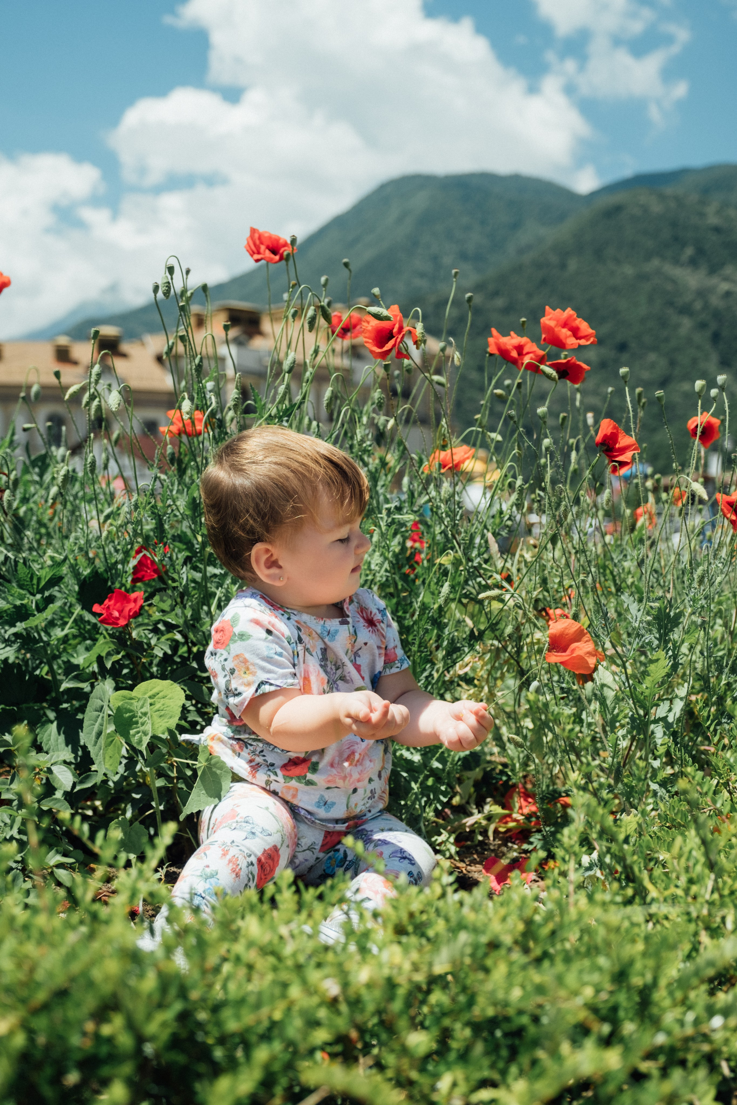 Красная Поляна. Свадебный Видеограф Фотограф в Сочи