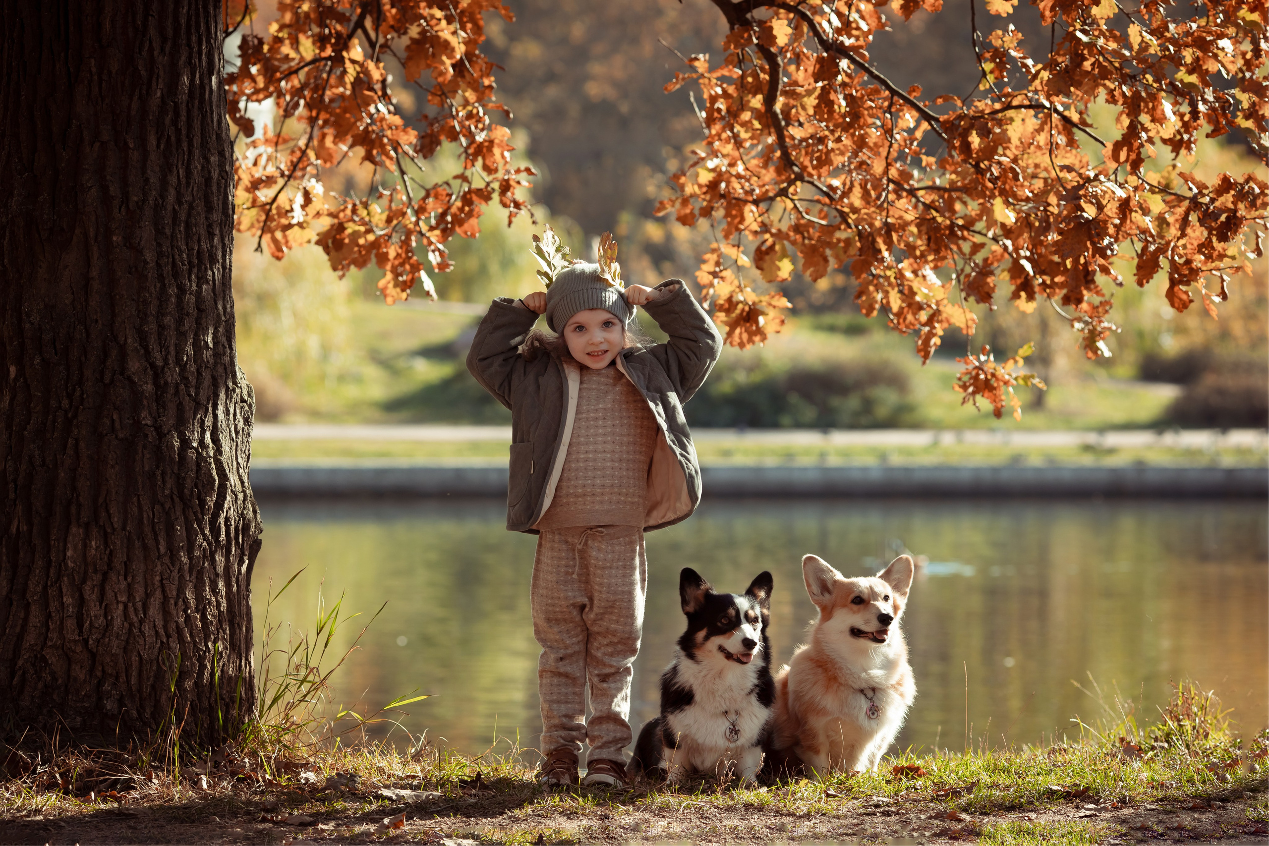 Эва с корги. Семейный и детский фотограф в Москве Дорогова Екатерина