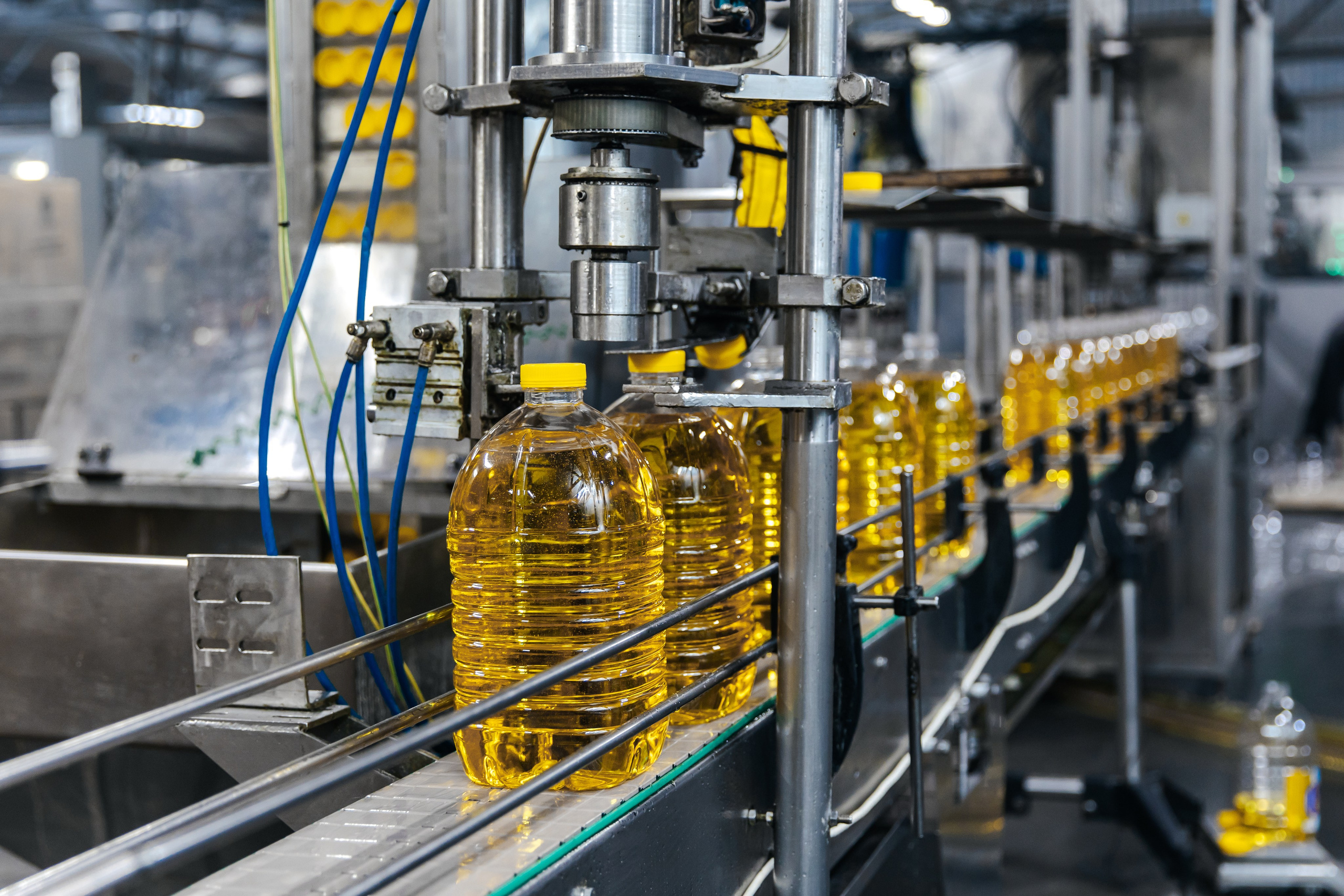 Диво Алтая. Производитель подсолнечного масла. Лихошерстов Андрей — фотограф для бизнеса из Сибири