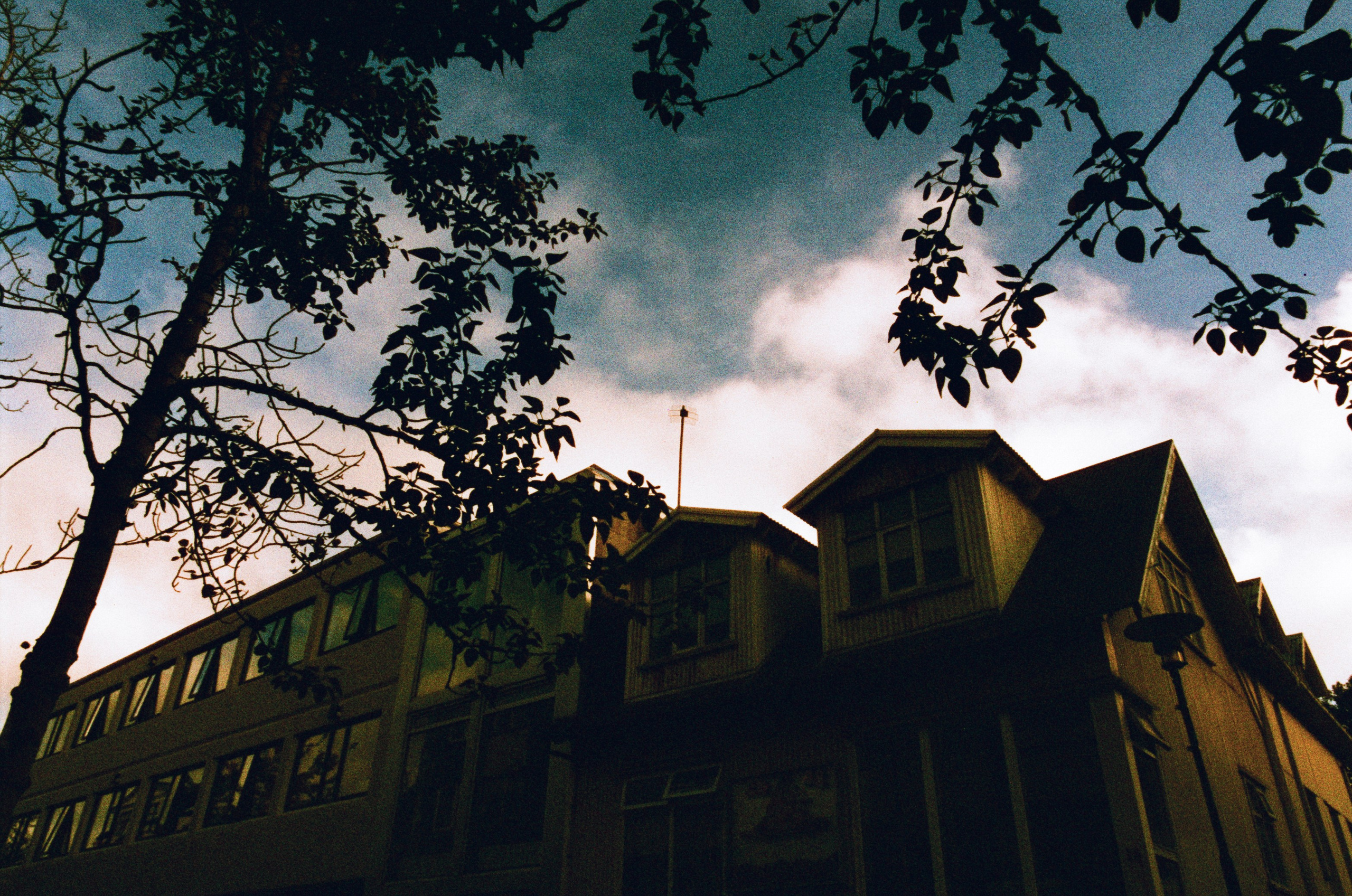 Run no more // iceland, reykjavik. EVER EXPOSED