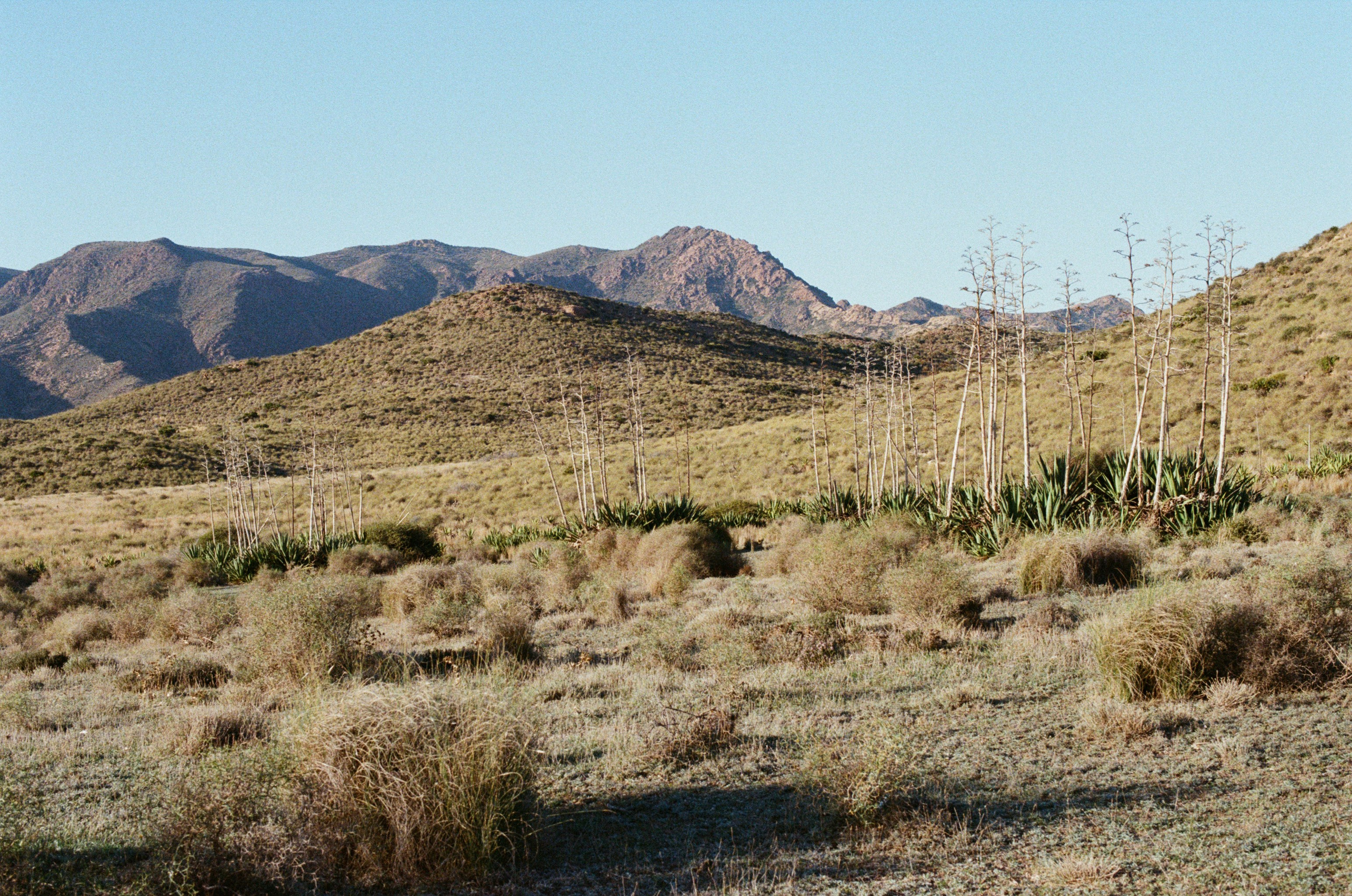 Spanish sahara // spain, cabo de gata. EVER EXPOSED