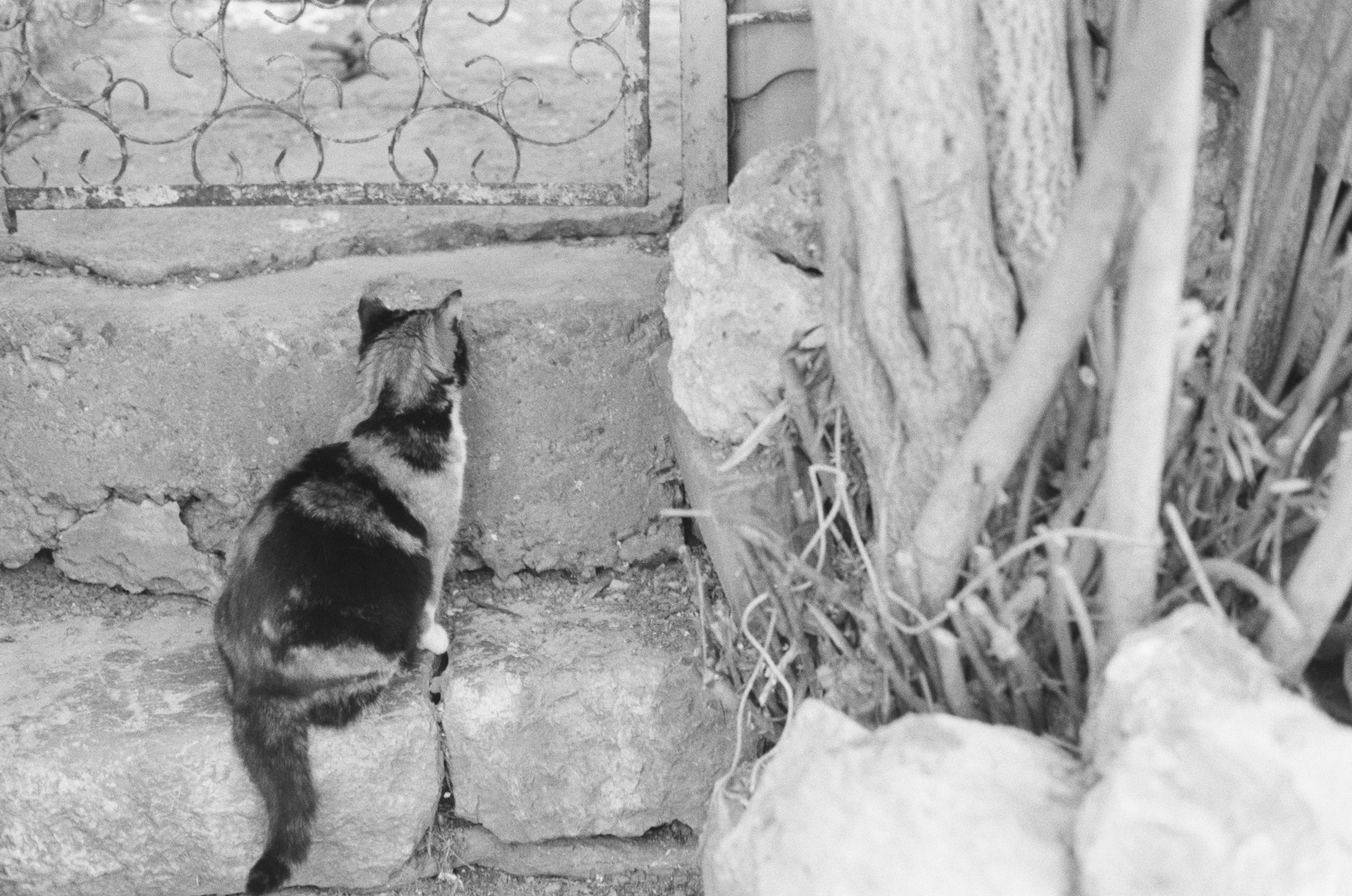 Sparks // ukraine, crimea II. EVER EXPOSED