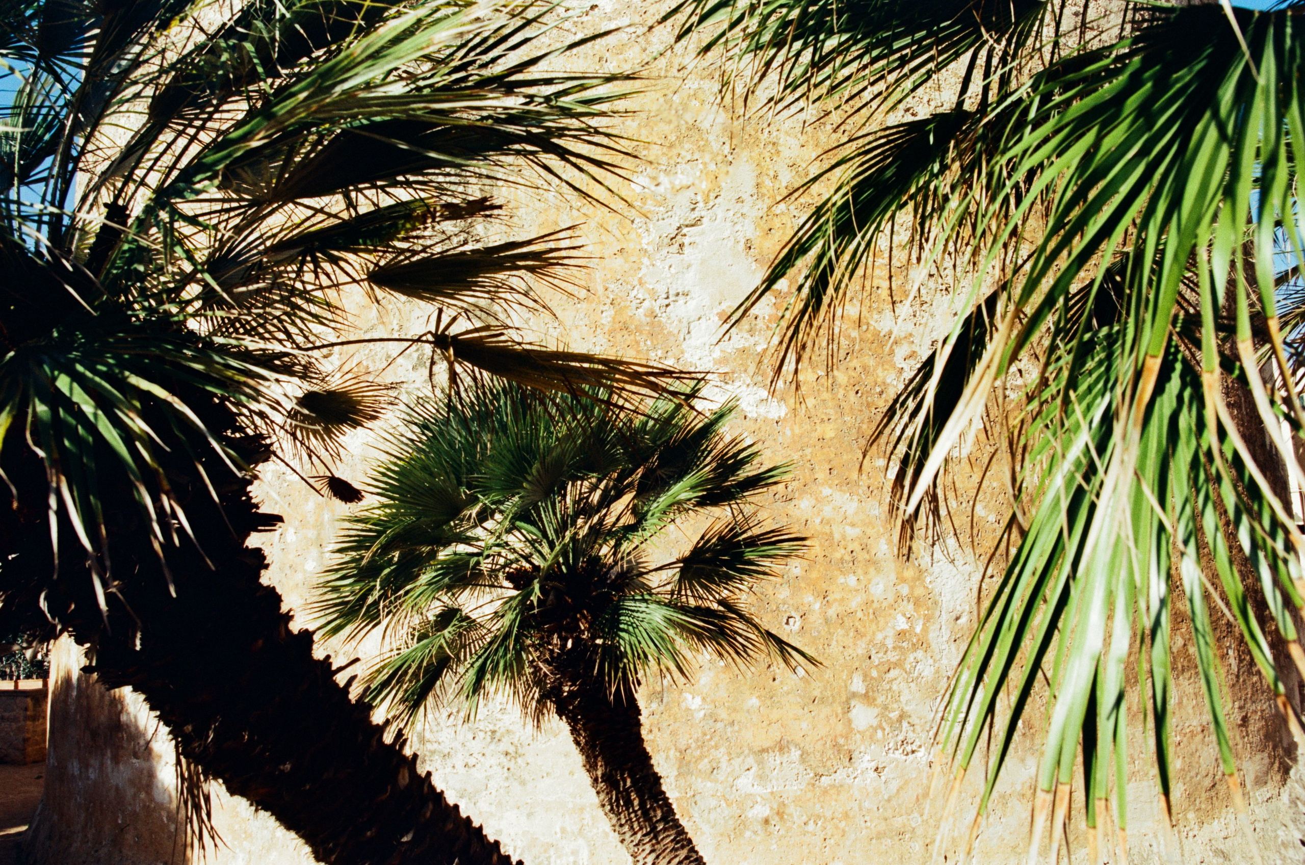 Moriro da re // sardinia, alghero III. EVER EXPOSED