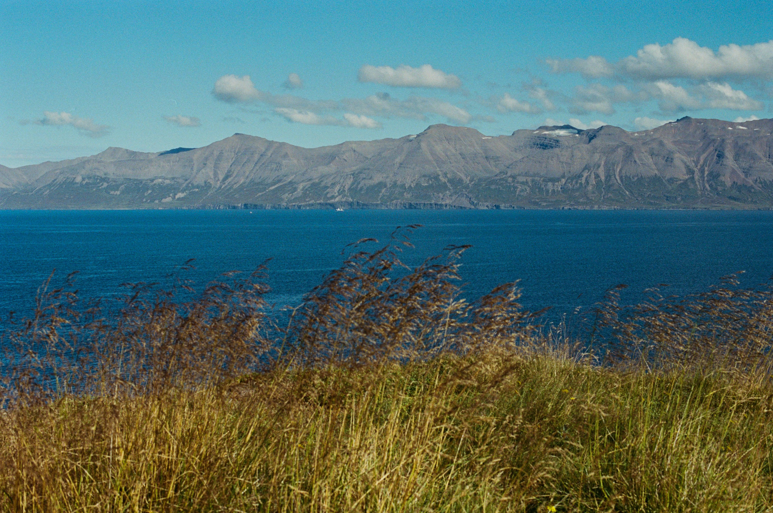 Vor i vaglaskogi // iceland, 82. EVER EXPOSED