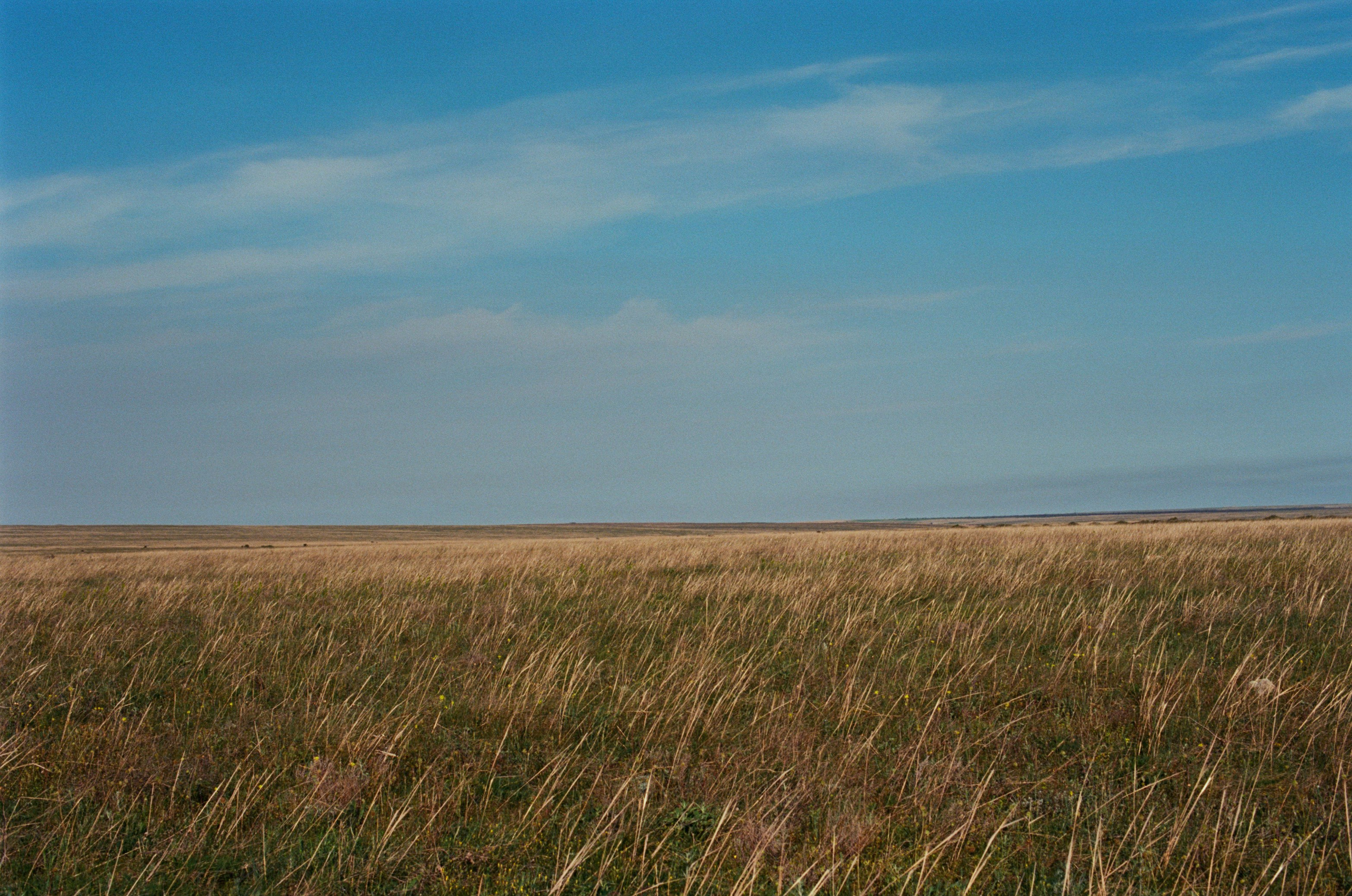 The drugs don't work // ukraine, crimea II. EVER EXPOSED